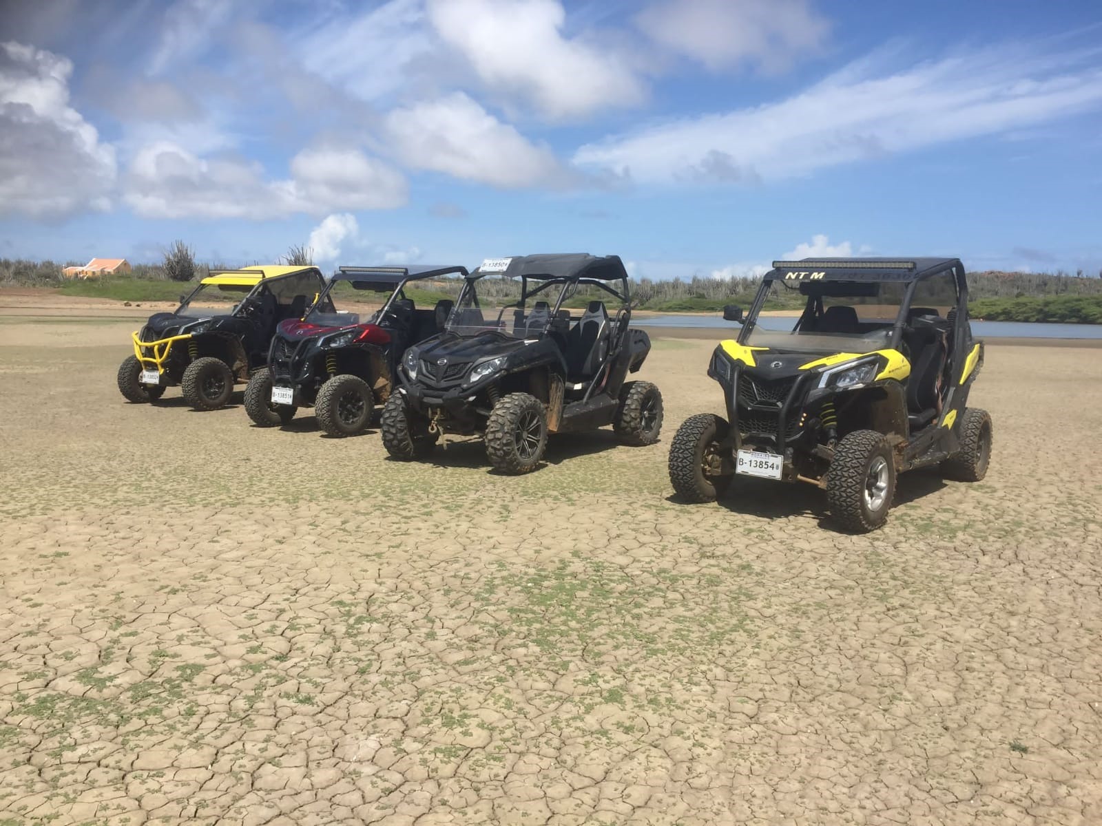Buggy + North & South Tour with Local Guide