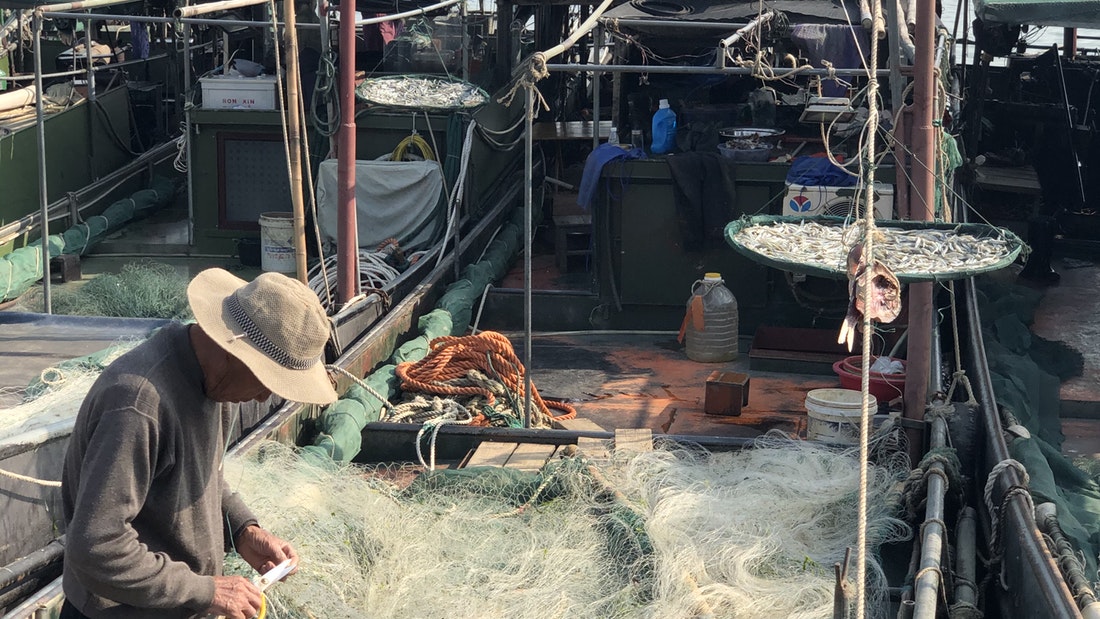 1-day Guided Lake Cycle and Fishing Village Tour on Lake Tai