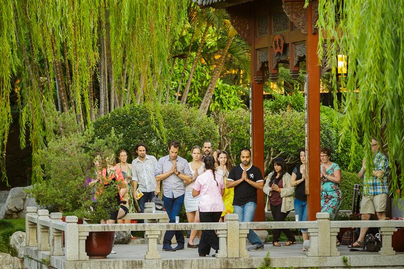 Movement and Meditation