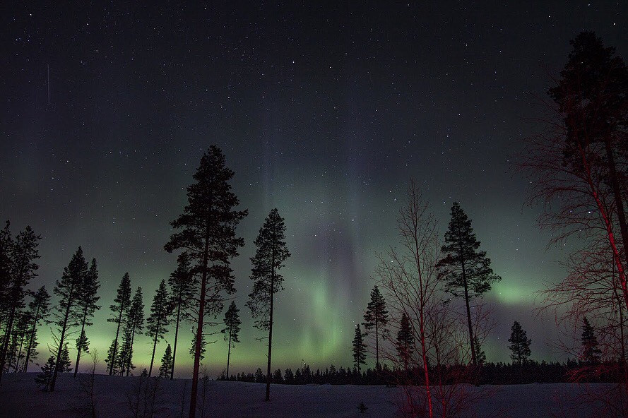 Starlight snowmobile safari