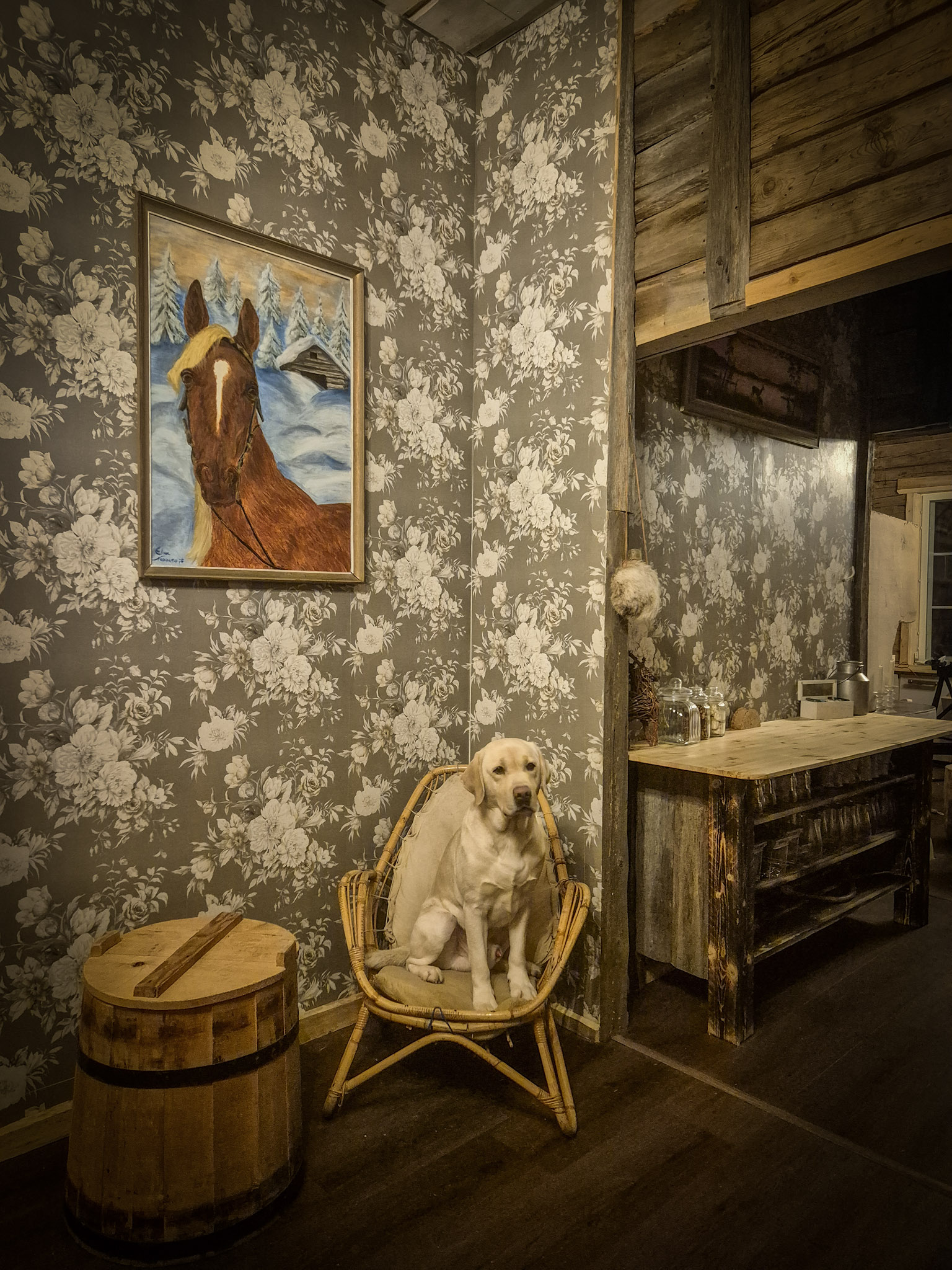 Horseback Riding + Lappish Lunch at a Family-Run Ranch at Rovaniemi