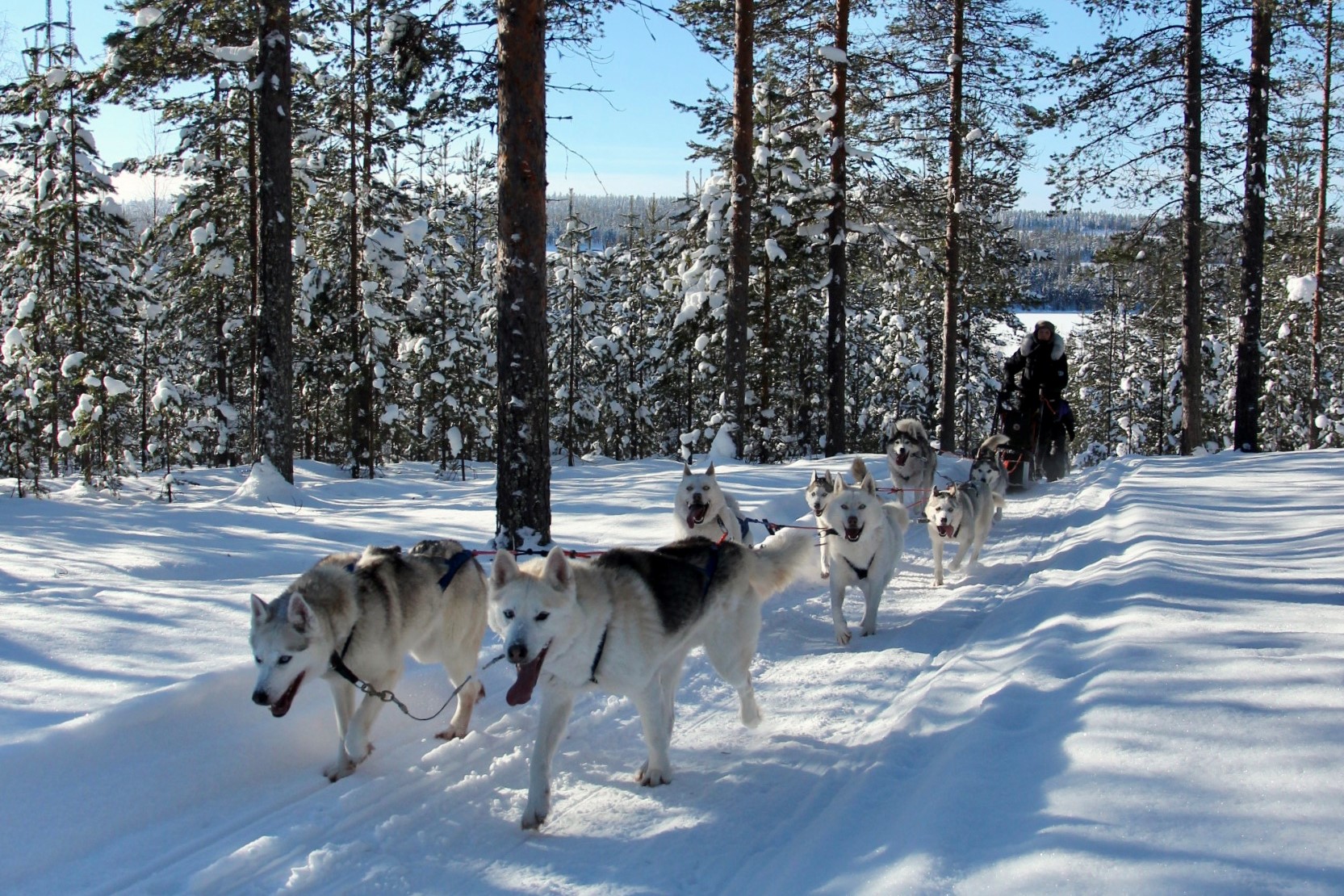 20 km for the brave, 12th January-10th April