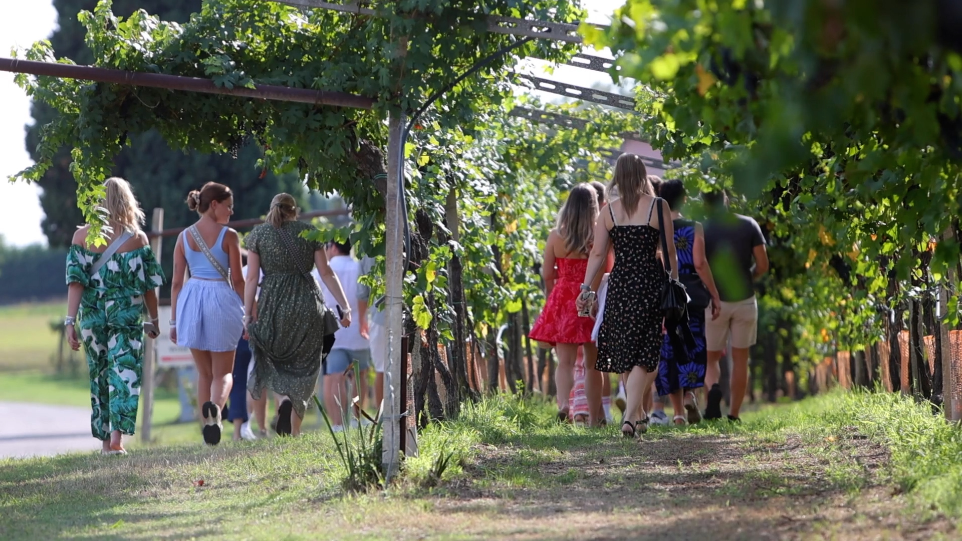 Winery Tour and Tasting of Garda Wines