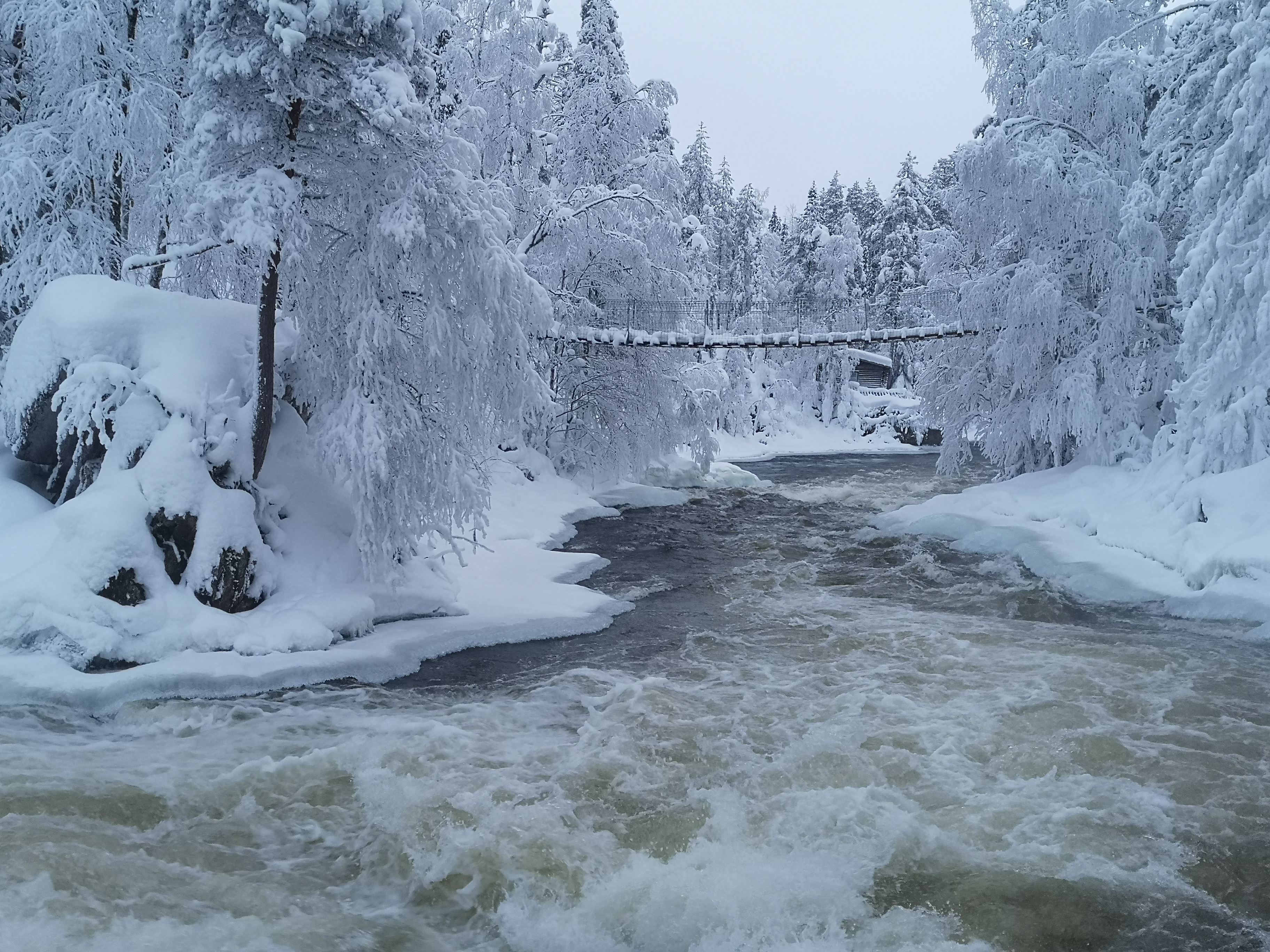 Winter Hike in Oulanka National Park