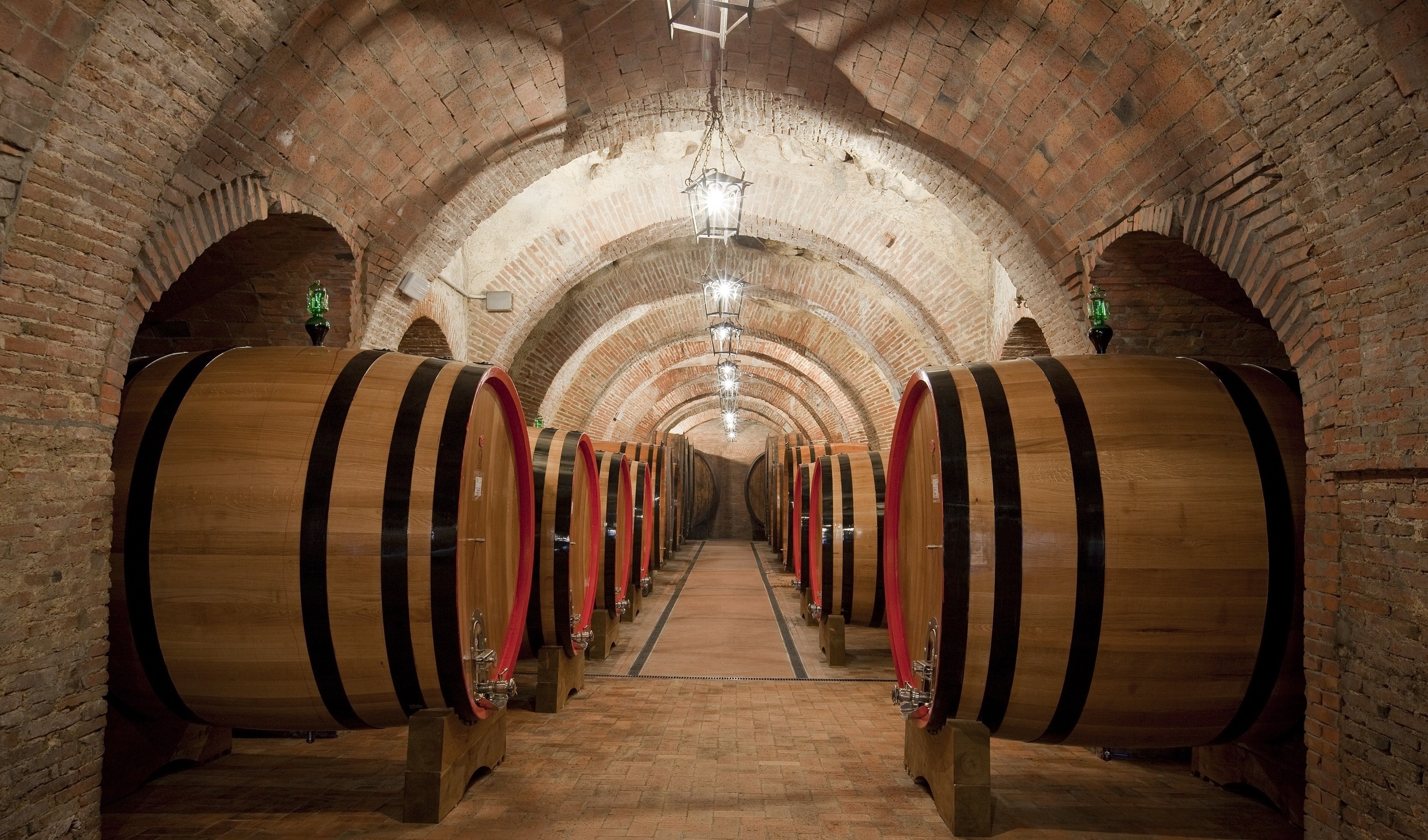 Montepulciano: Winery Tour & Tasting Experience