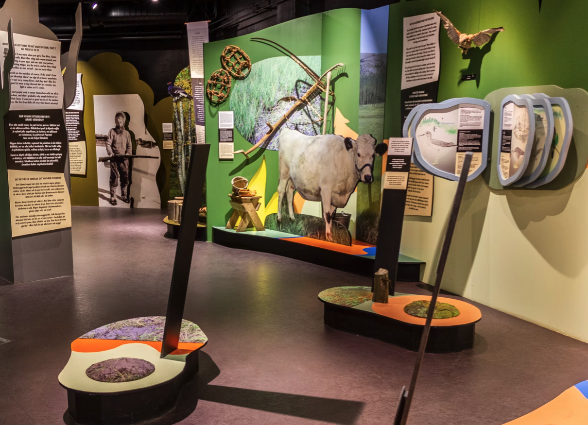 Guided Snowshoe Hike to Kellostapuli with Smoked Fish Lunch and Local Life Museum