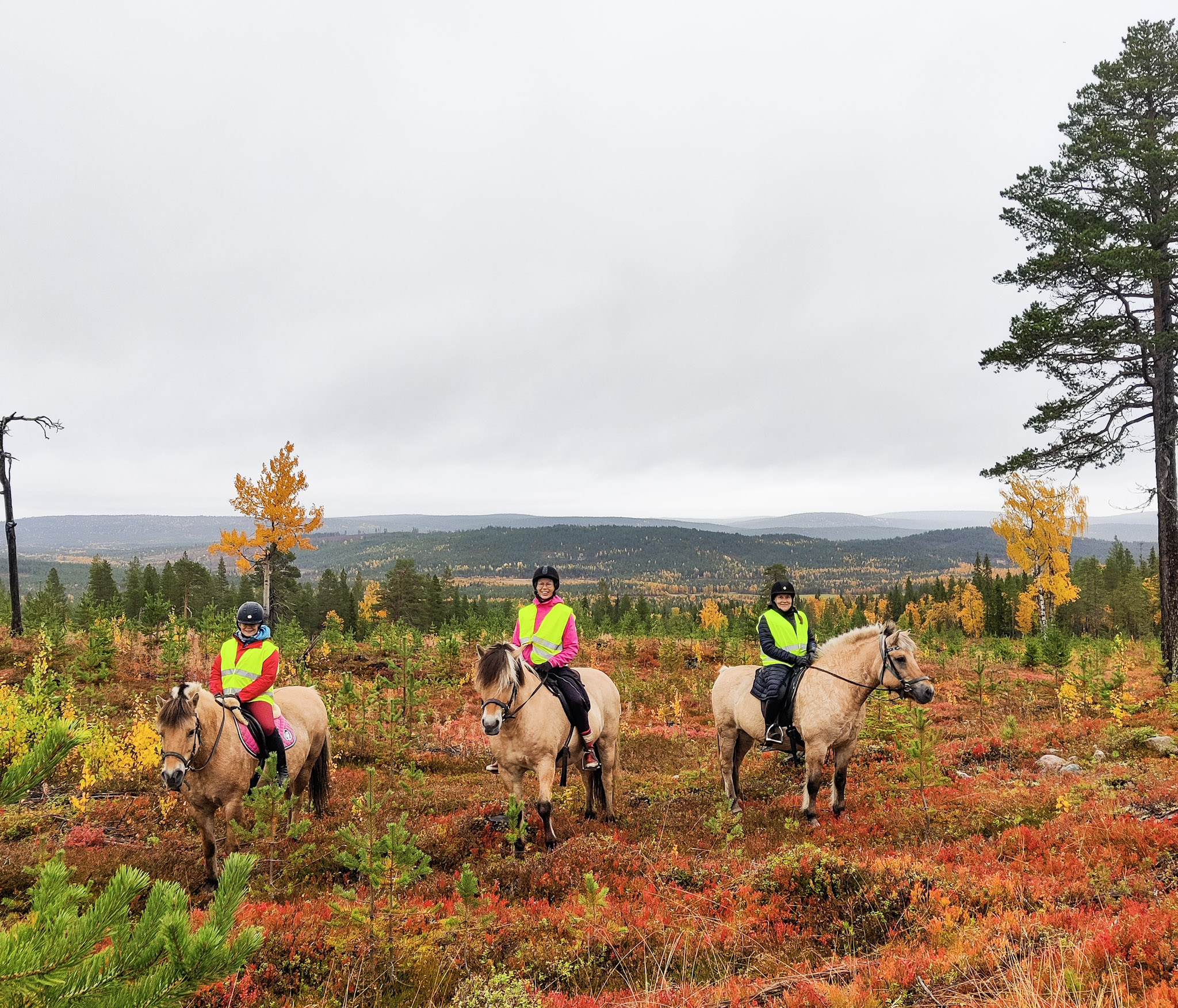 Horse riding over the hills 4 hour (ADVANCED ONLY)