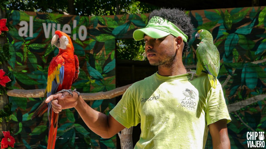 Bird watching in the aviary of cartagena