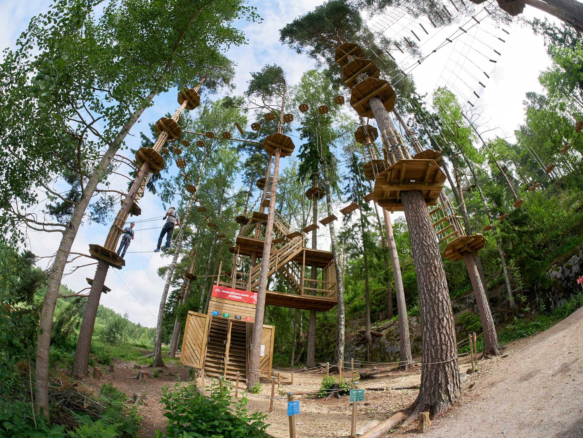 Treetop adventure
