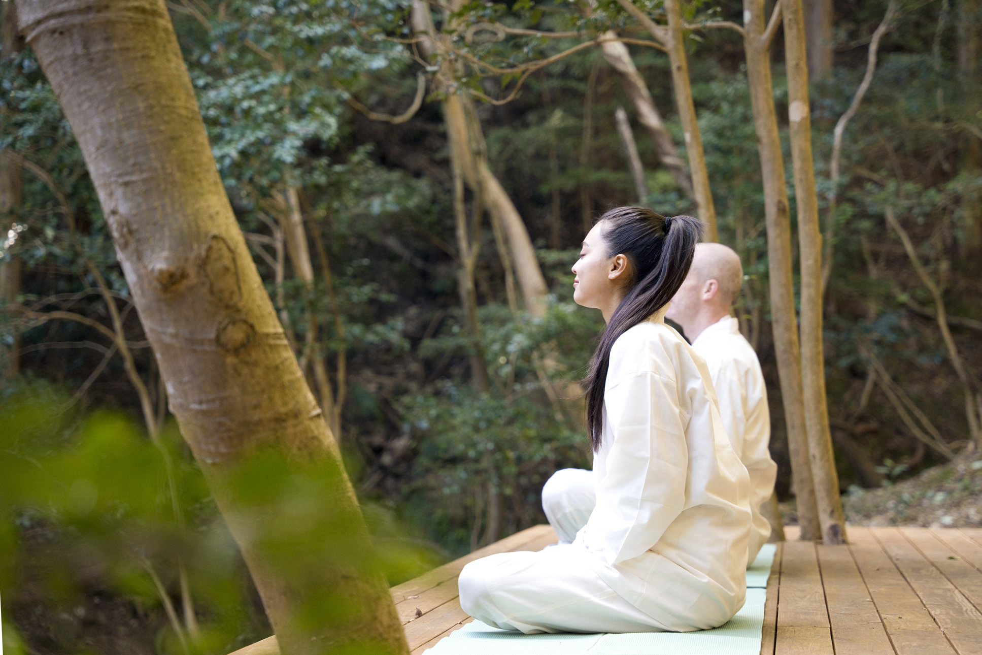 Private Waterfall Meditation & Forest Experience