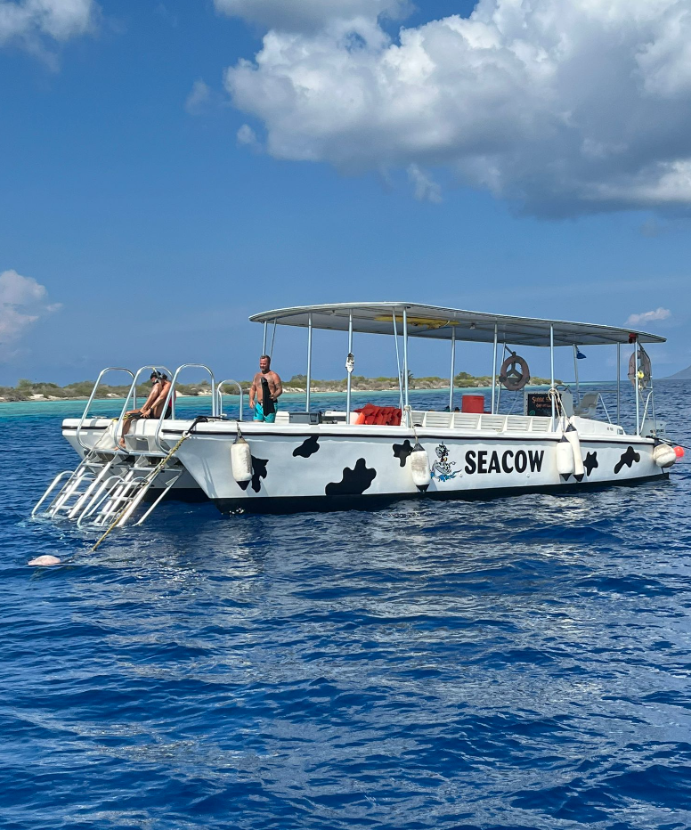 Double dip snorkel trip