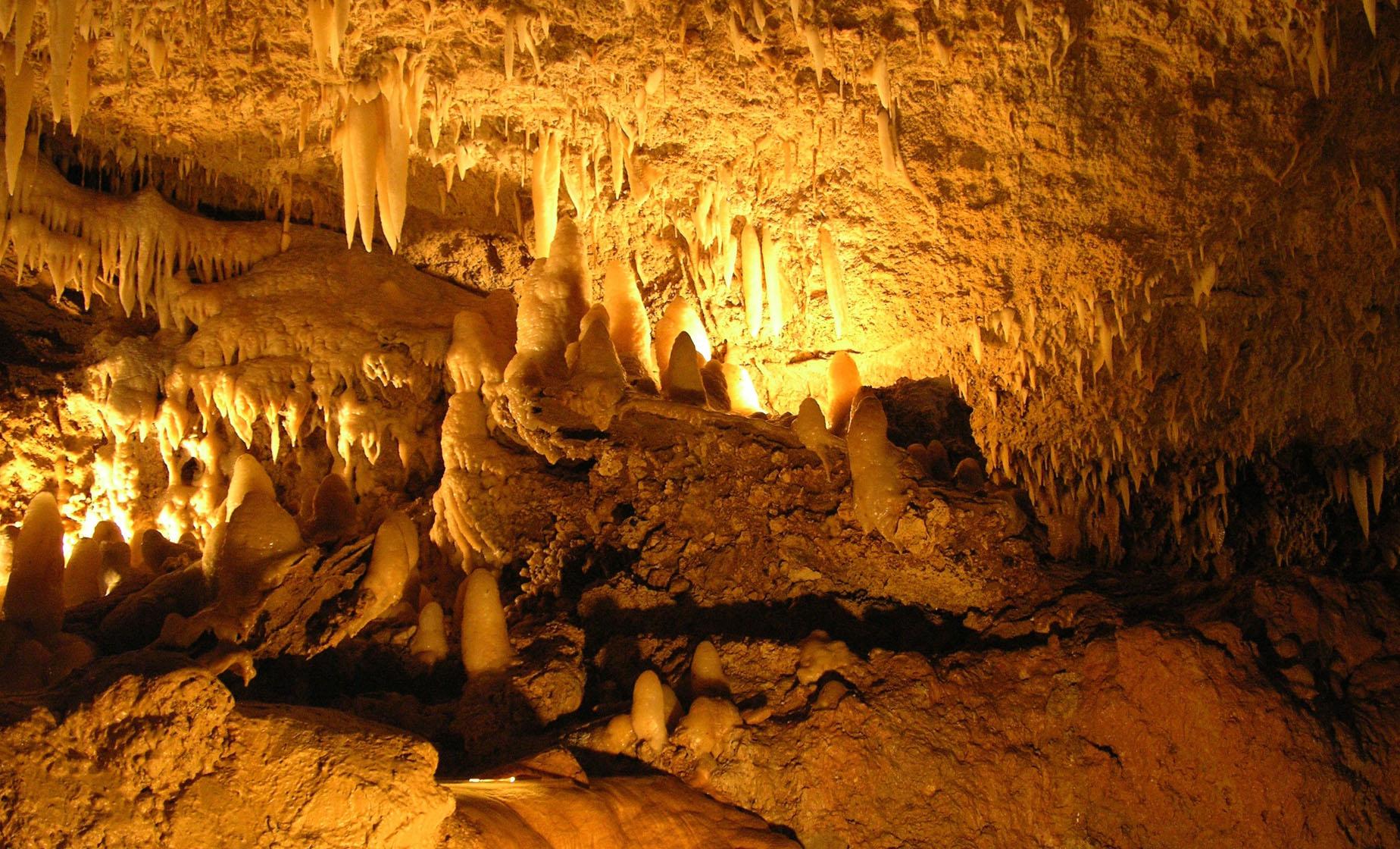 Harrisons' Cave and Hunte's Gardens Day Tour