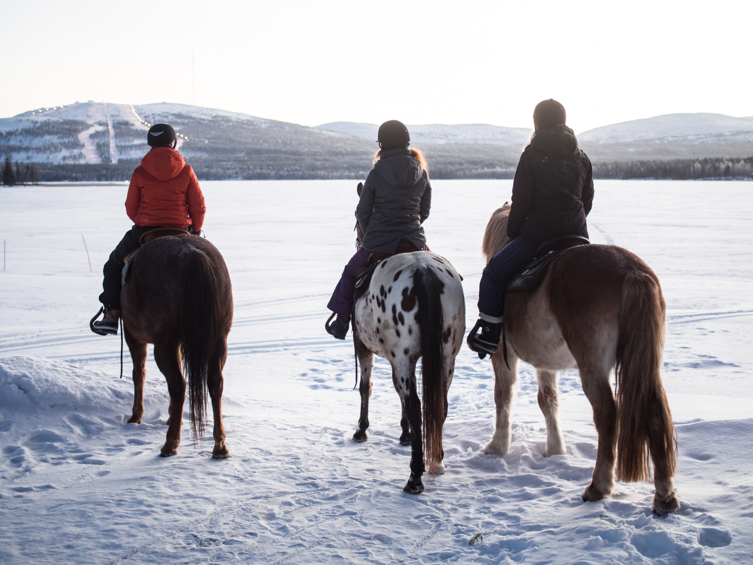 A small group horseback riding tour in the snow