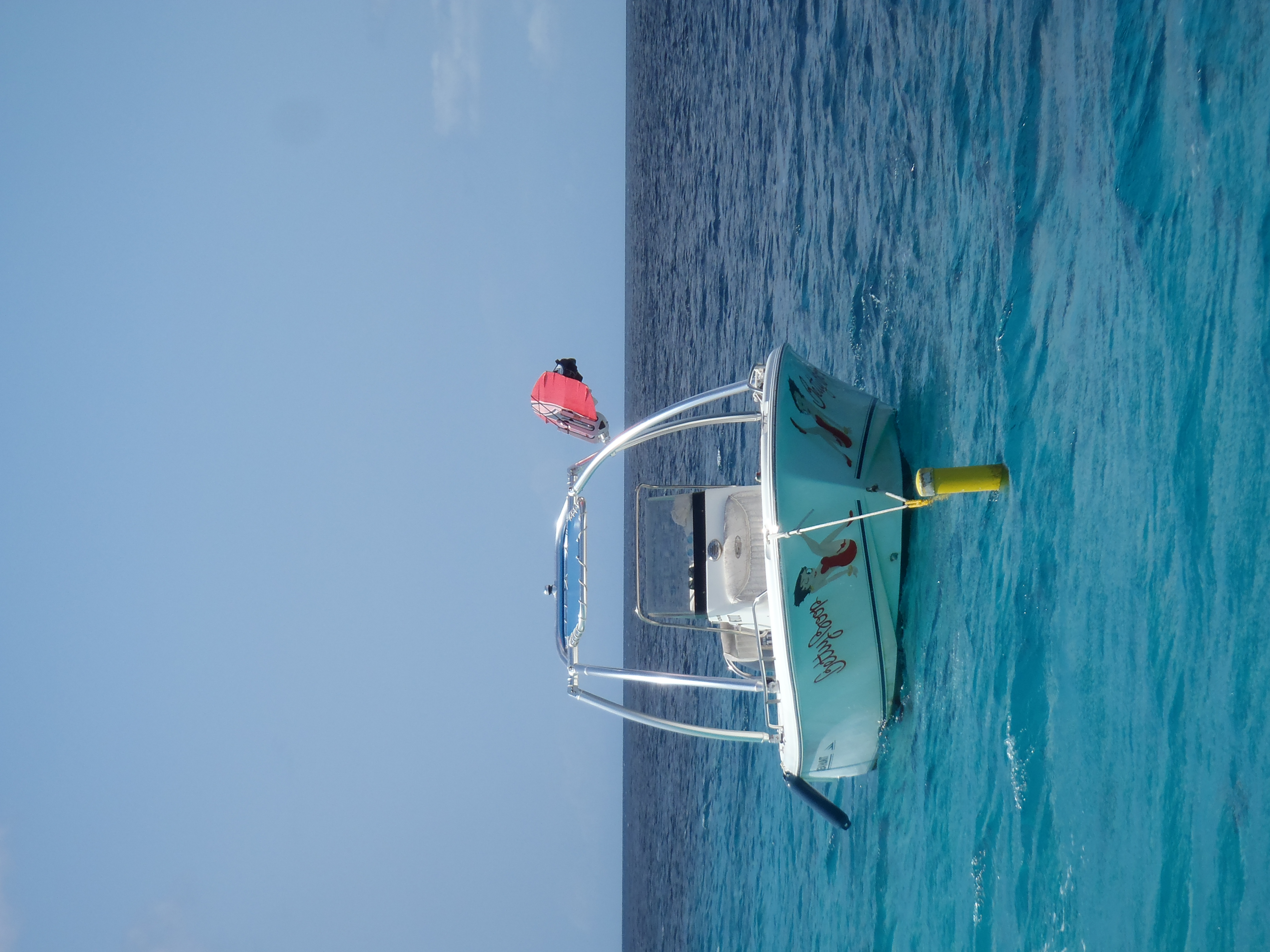 1. Betty Boop - Fill in the availability HERE