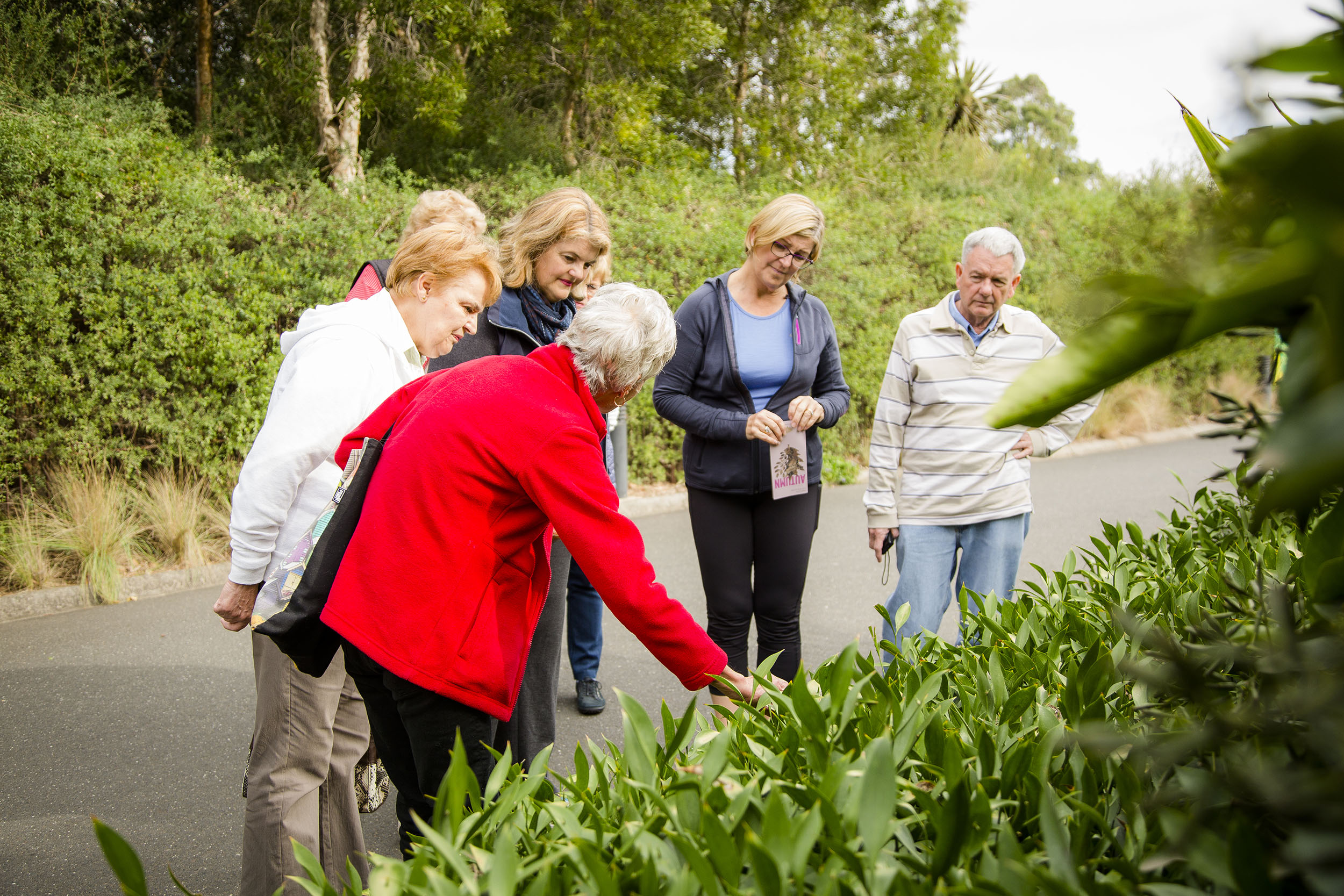 Exclusive Guided Walk (Group Tour)