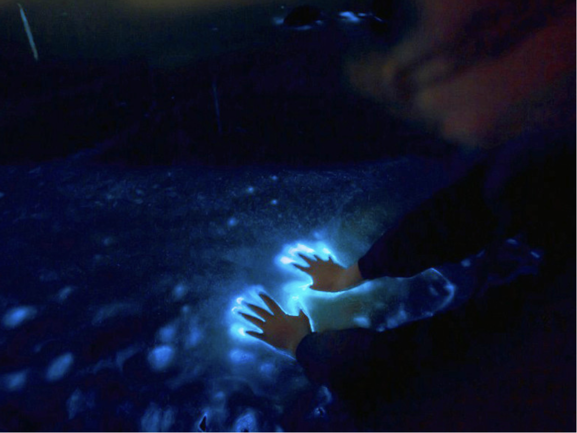 (Group Tour) Sunset & Bioluminescence Adventure at Los Arcos