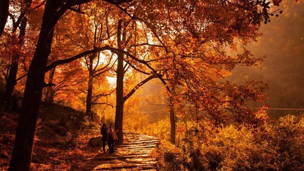 1-day Autumn Color and Terraced Mountain Rice Paddy Hiking – Guided Huangnan Mountain Fall Hike from Hangzhou