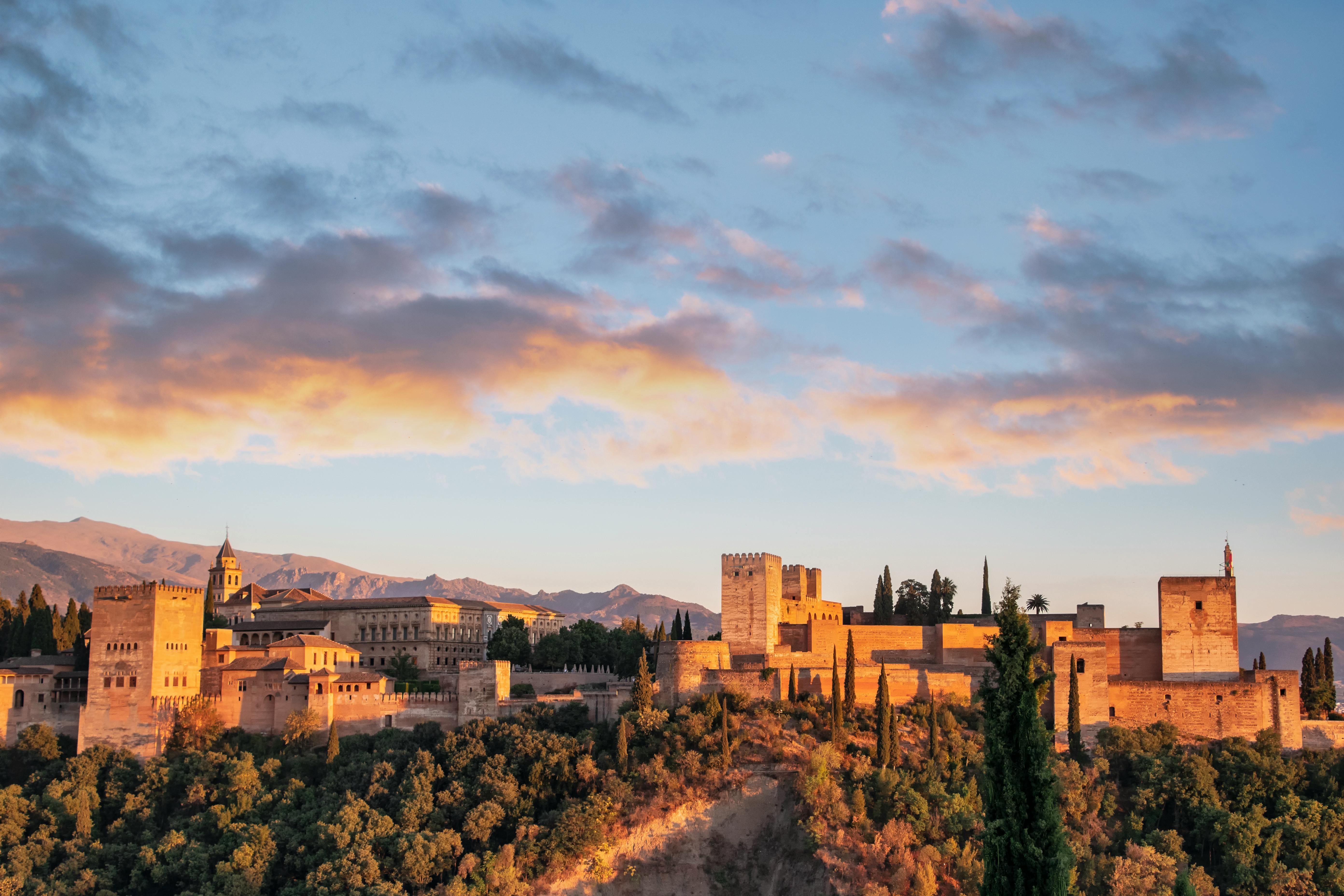 Private tour of the Alhambra and the Nasrid Palaces with entrance fee