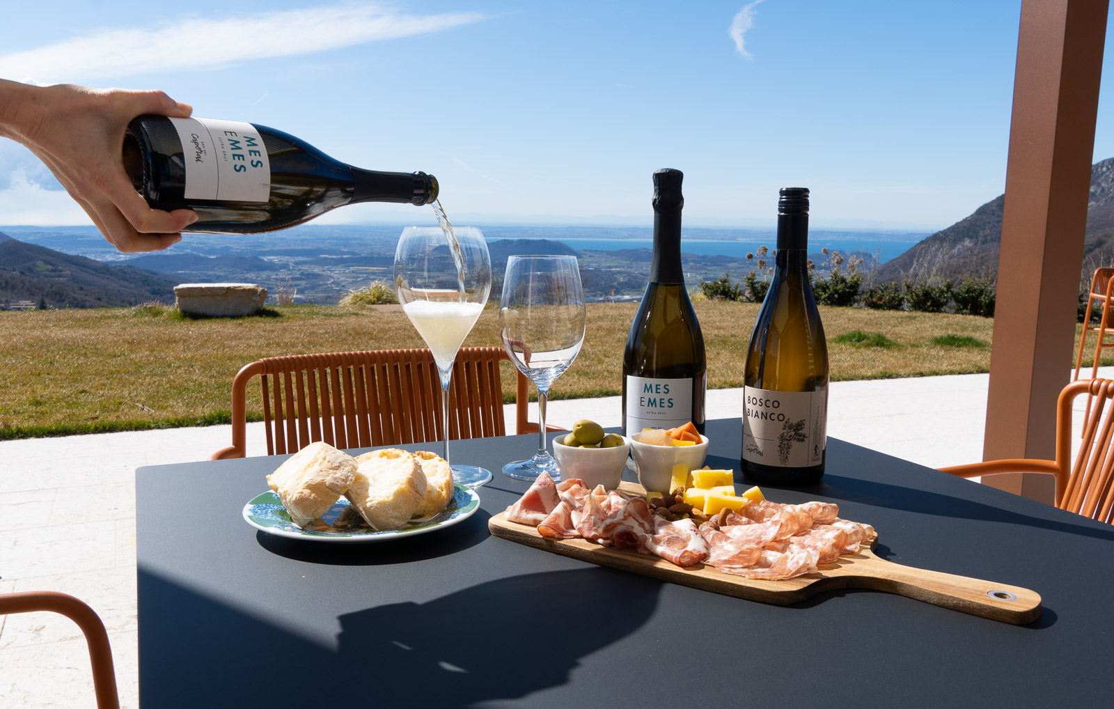 Tasting of Organic Mountains Wines with Vineyard and Cellar Tour