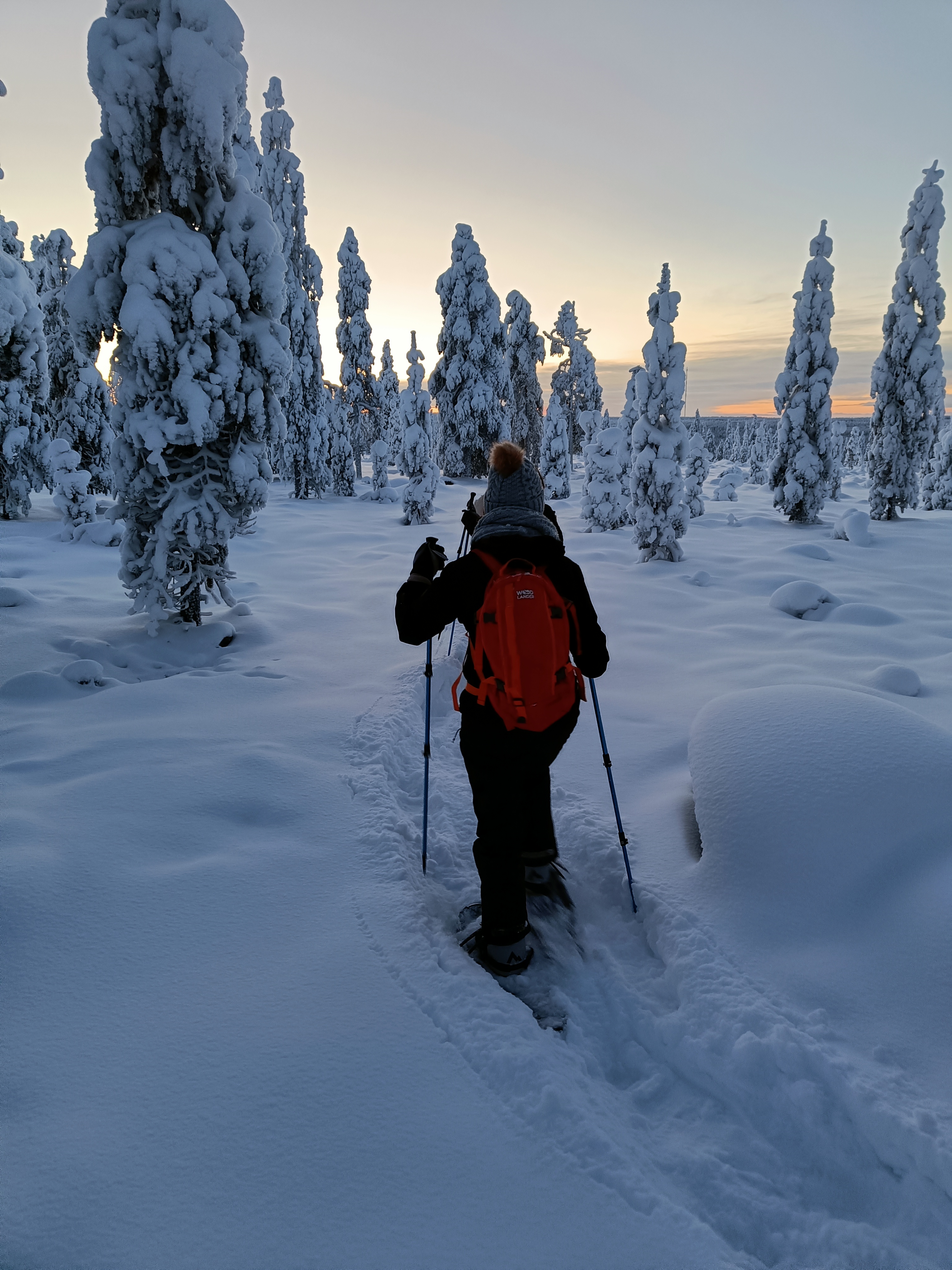 Private Arctic Winter Hiking on Snowshoes