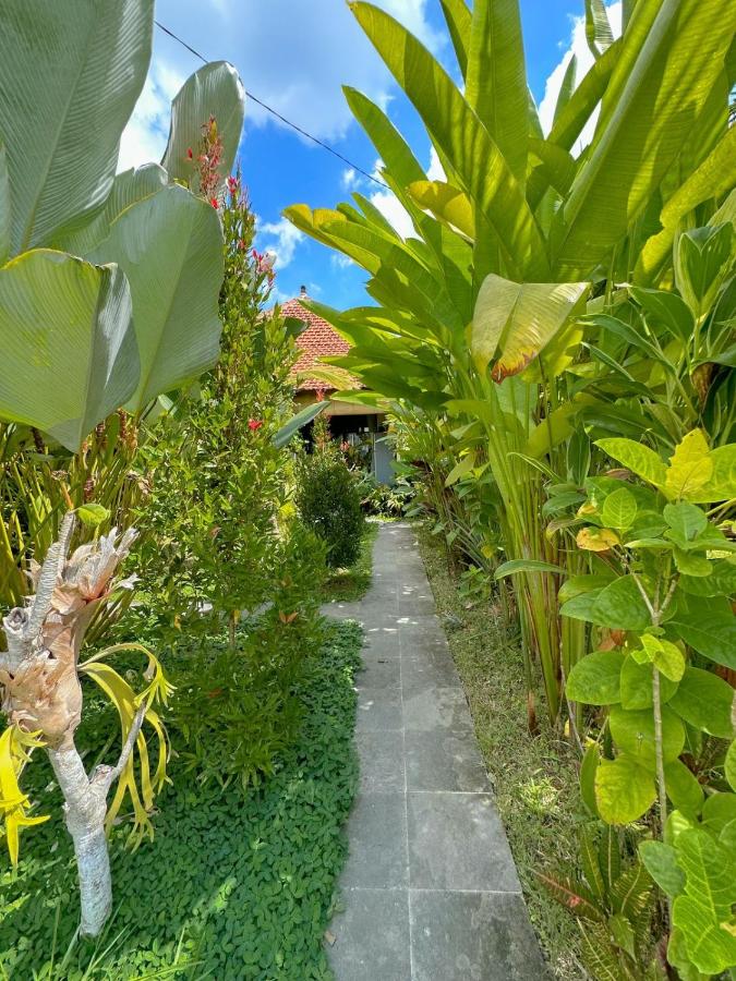 Bali Eventyr med Ubud, Mt. Agung og Batur, Gili T og Canggu Beach Surfing