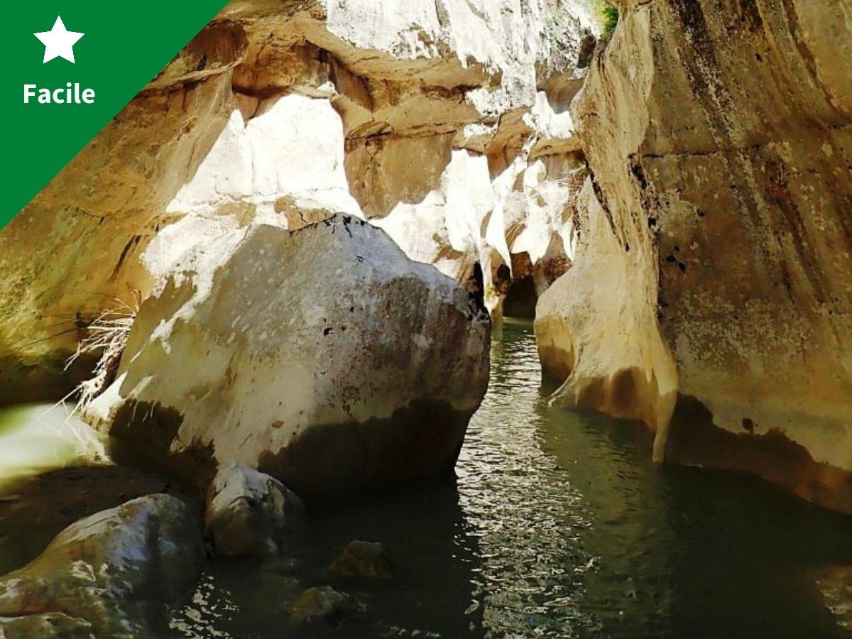 Canyon du Bas Jabron half day aquatic