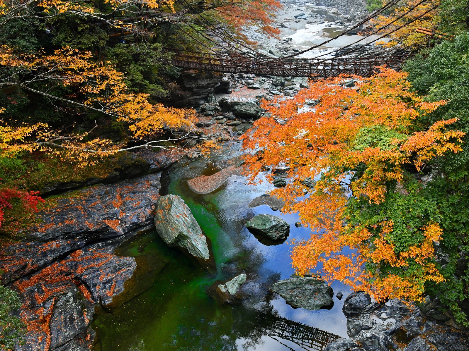 【当日予約可15時〆】祖谷のかずら橋入場チケット【徳島・祖谷】