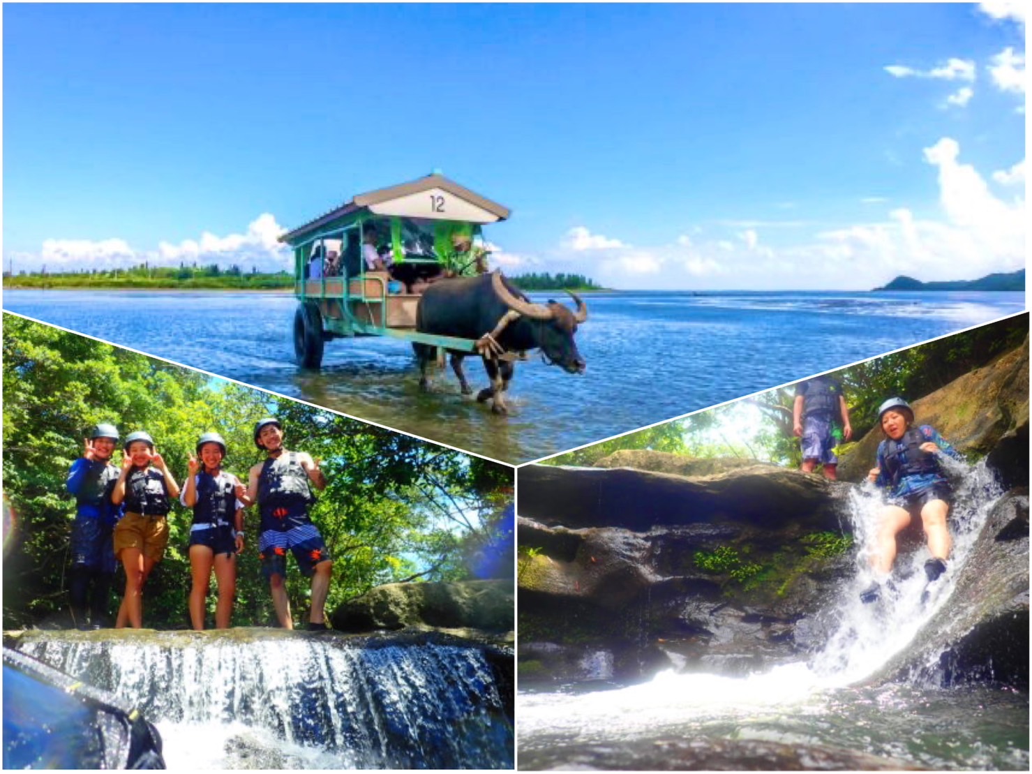 [Iriomote] Splash Canyoning + Sightseeing in Yubujima island