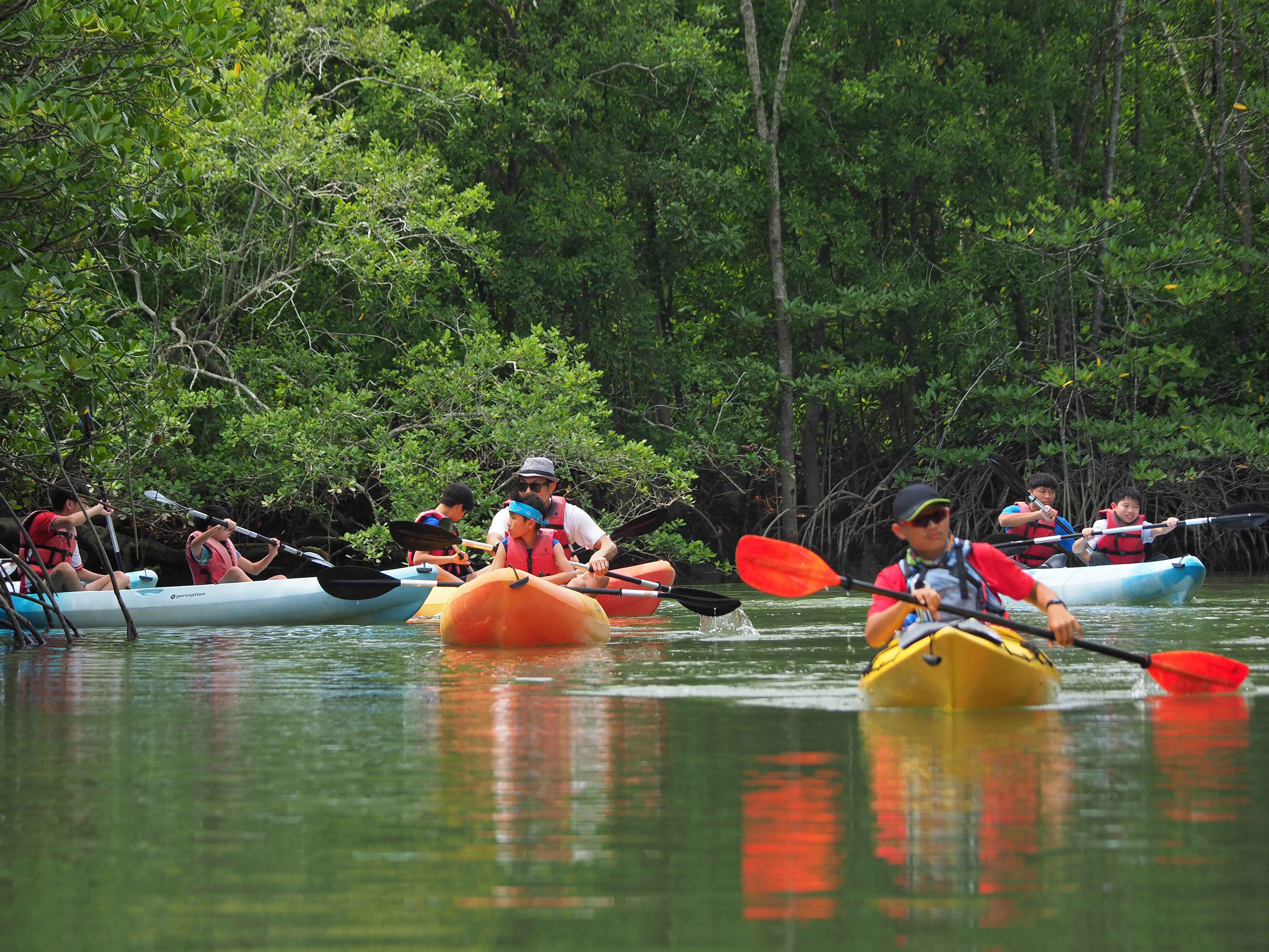 Mangrove Kayaking Adventure