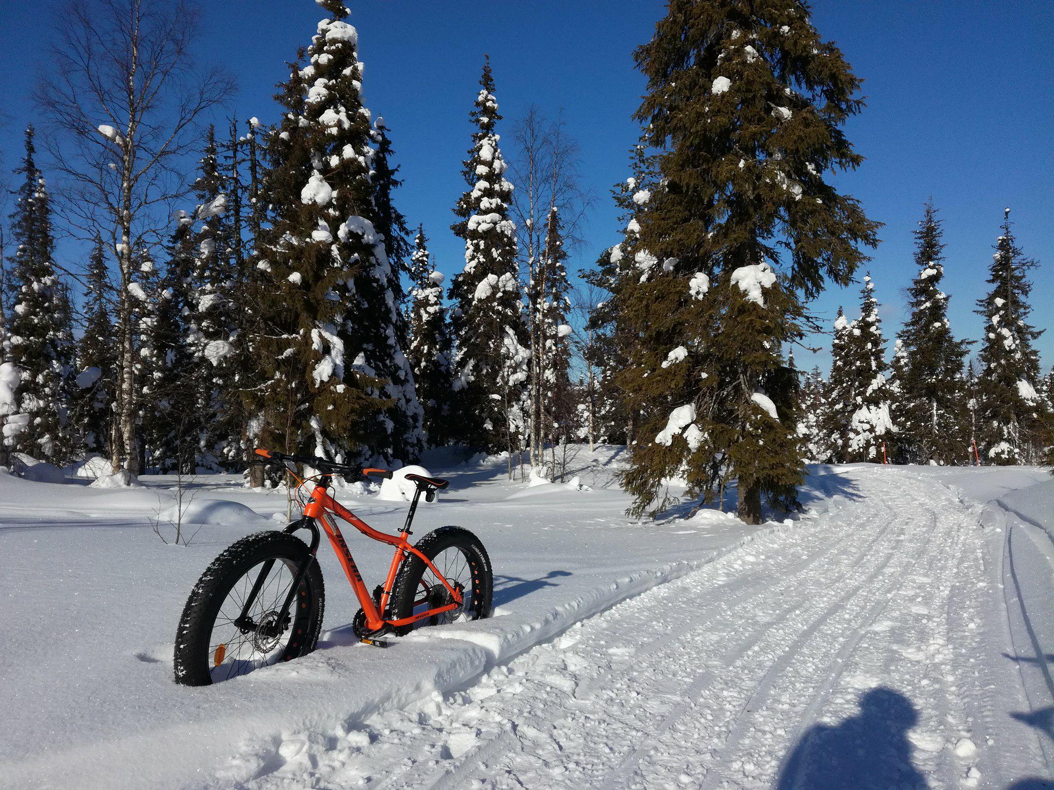 Guided Fatbike safari