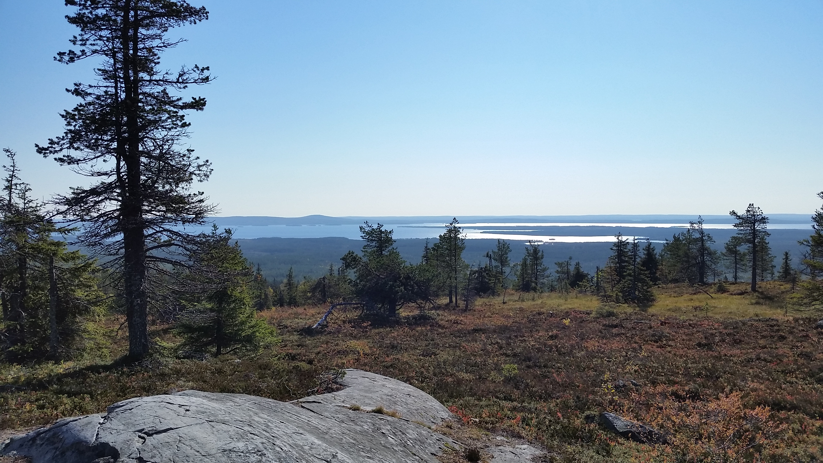 Forest yoga in Riisitunturi National Park