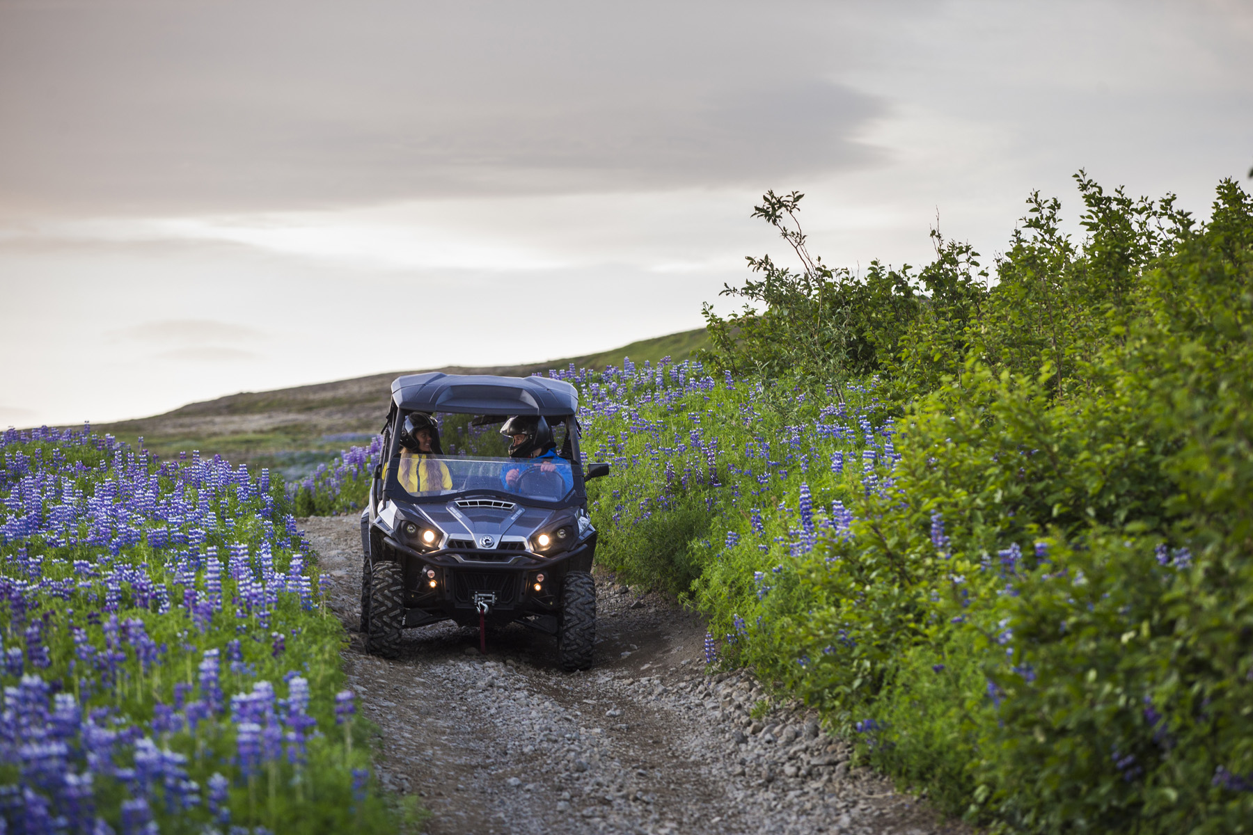 Buggy & Golden Circle