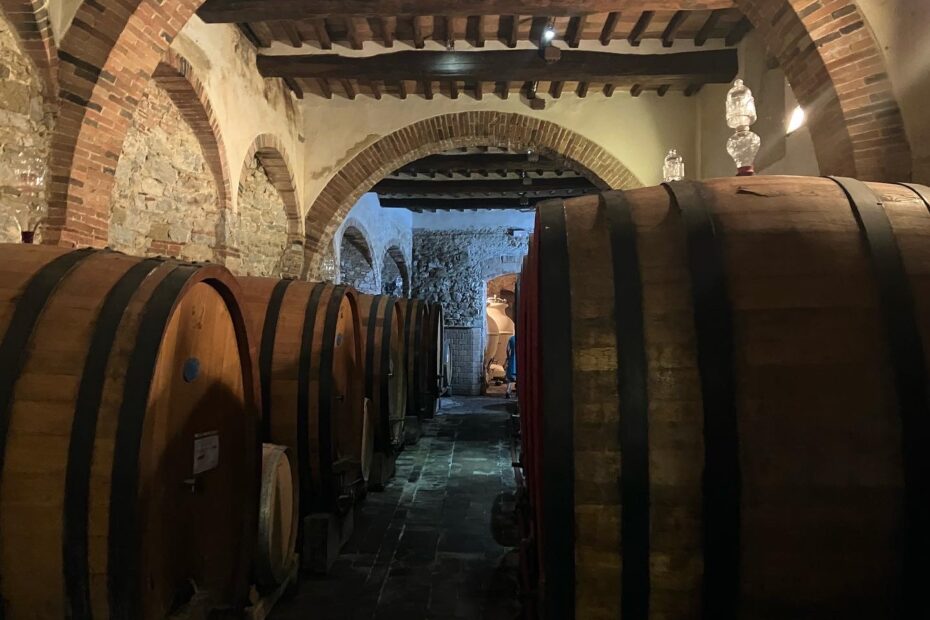 CHIANTI: E-BIKE TOUR WITH WINE TASTING