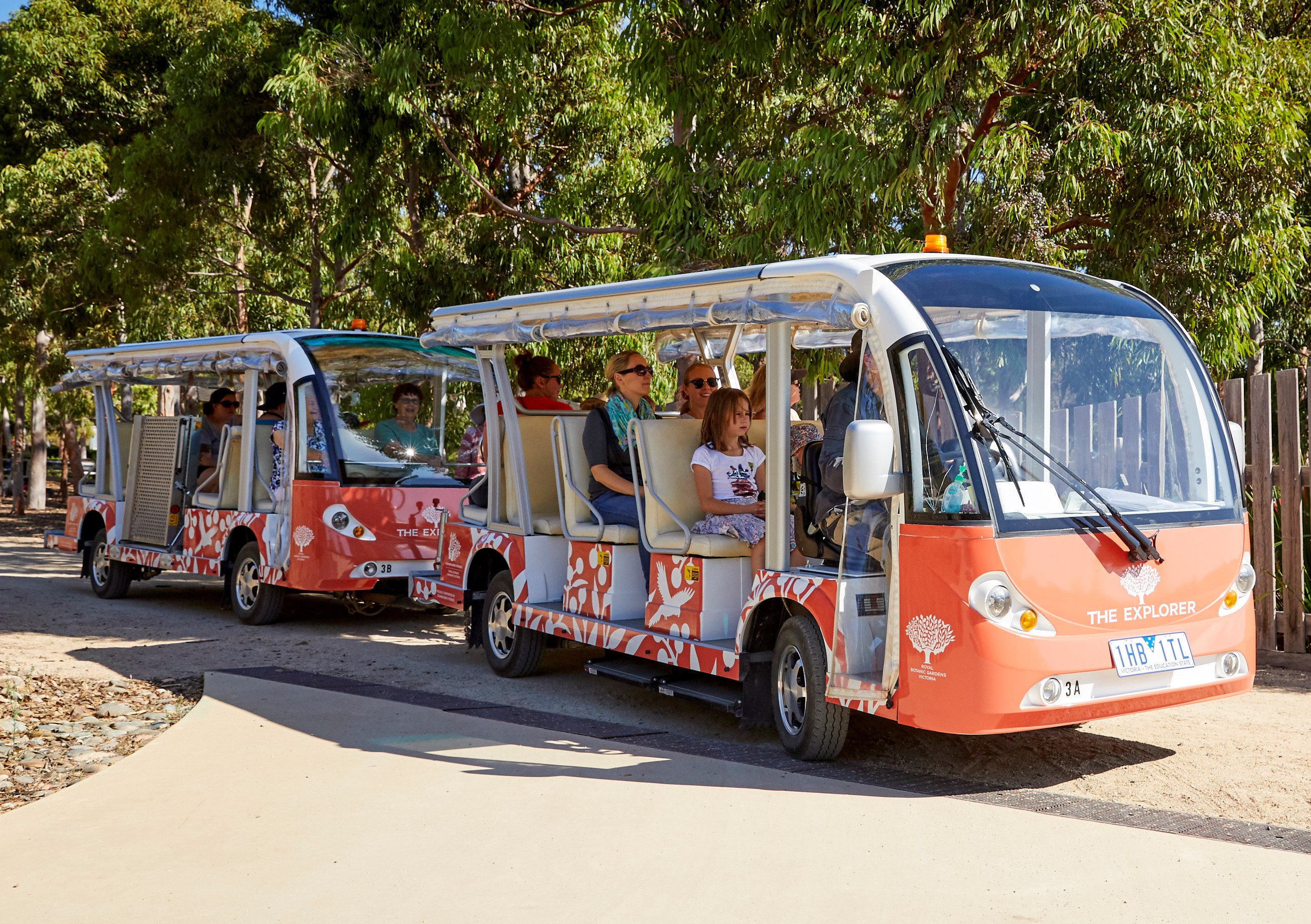 The Explorer - Cranbourne Gardens