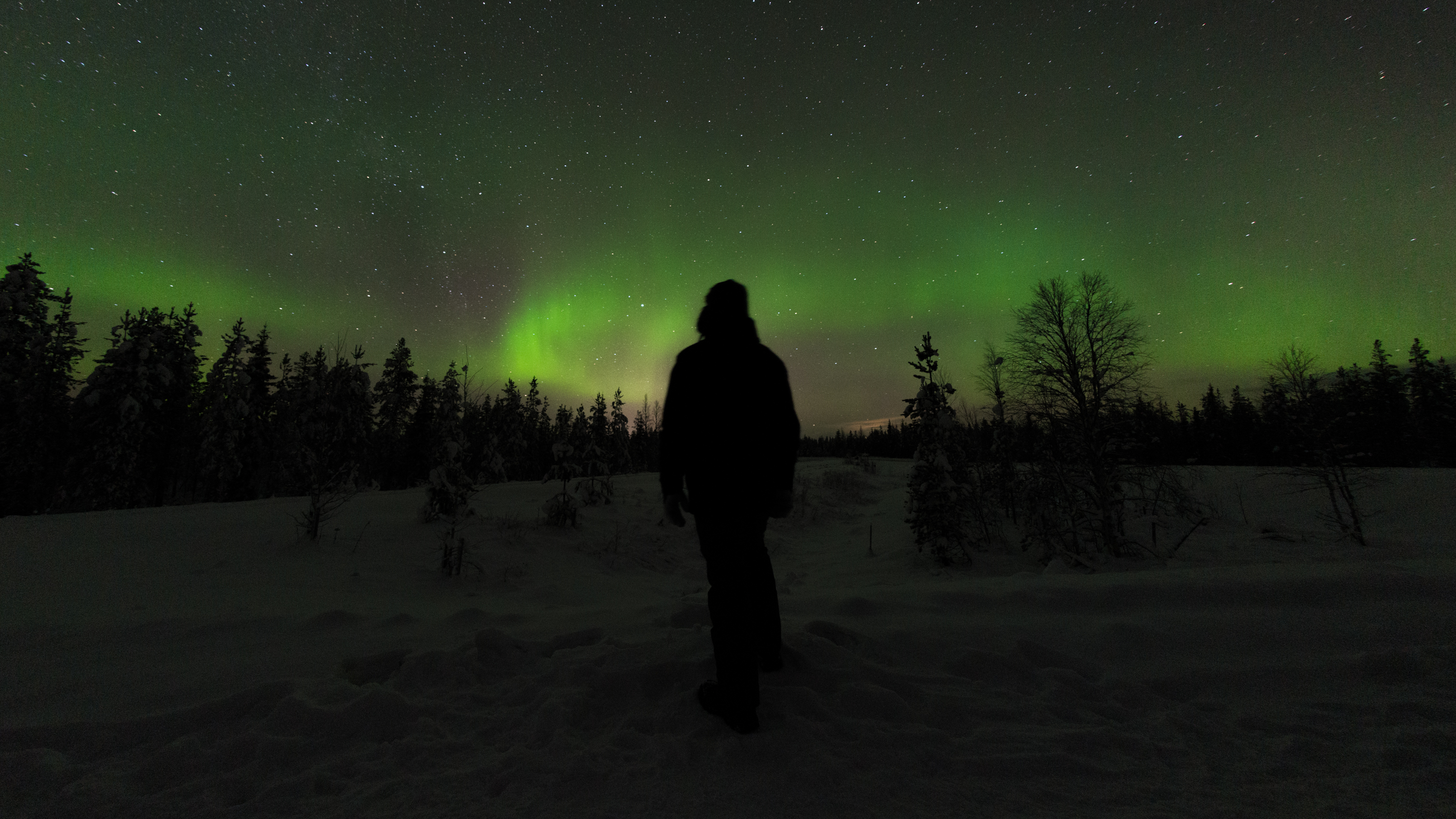 AURORAS WITH SNOWMOBILE FOR ADULTS