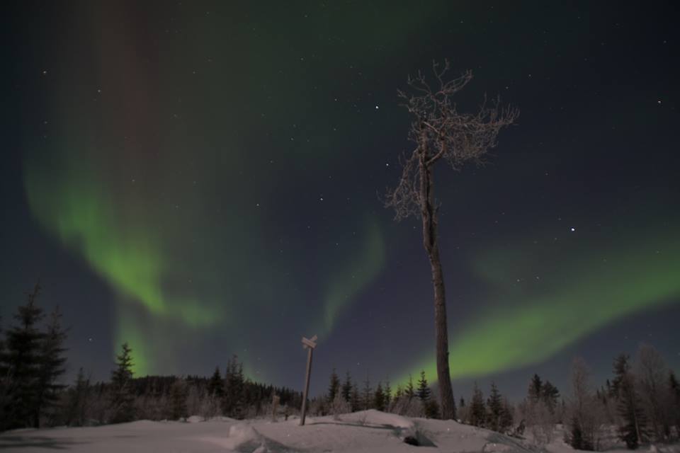 Northern lights hunting by mini van