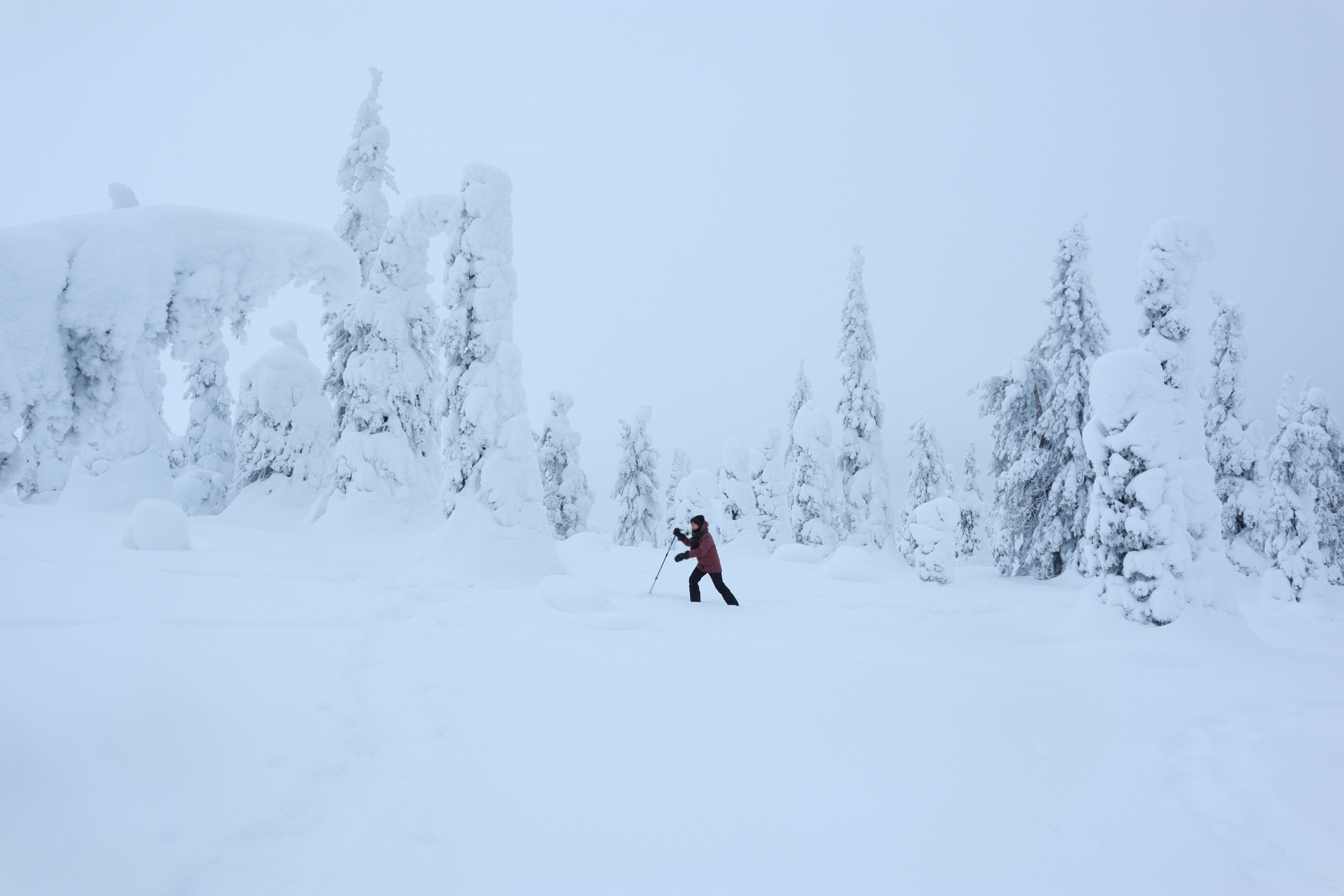 Daytime winter wonderland hike