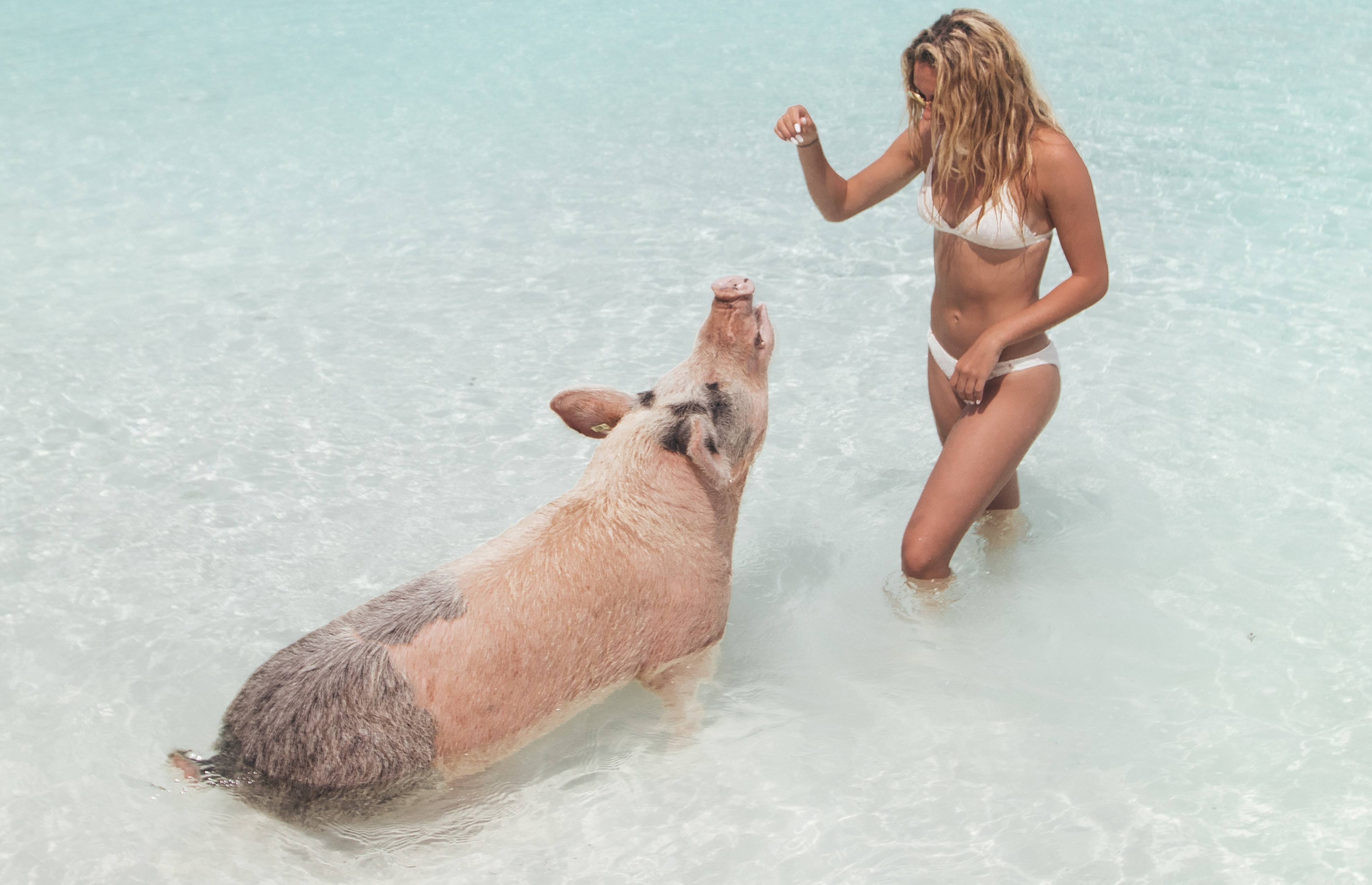 Nassau To Exuma Day Trip (6 Stops)