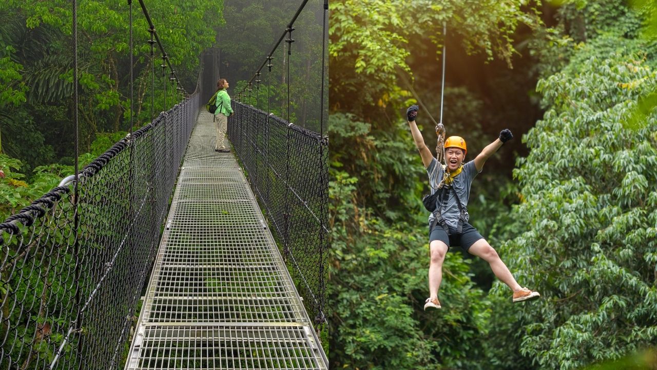 Congo-Combo (Hanging Bridges and Zipline Adventure)