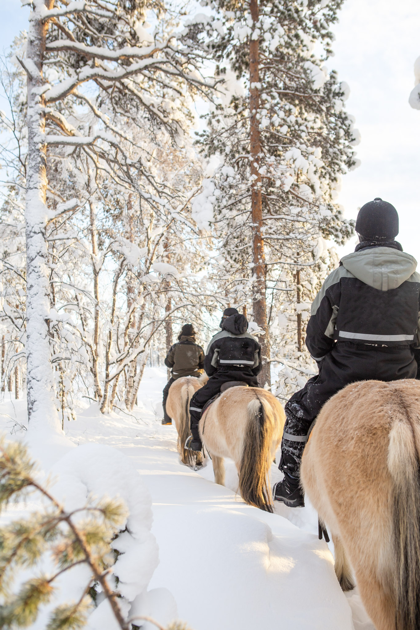 PRIVATE horse trail ride to the snowy hill