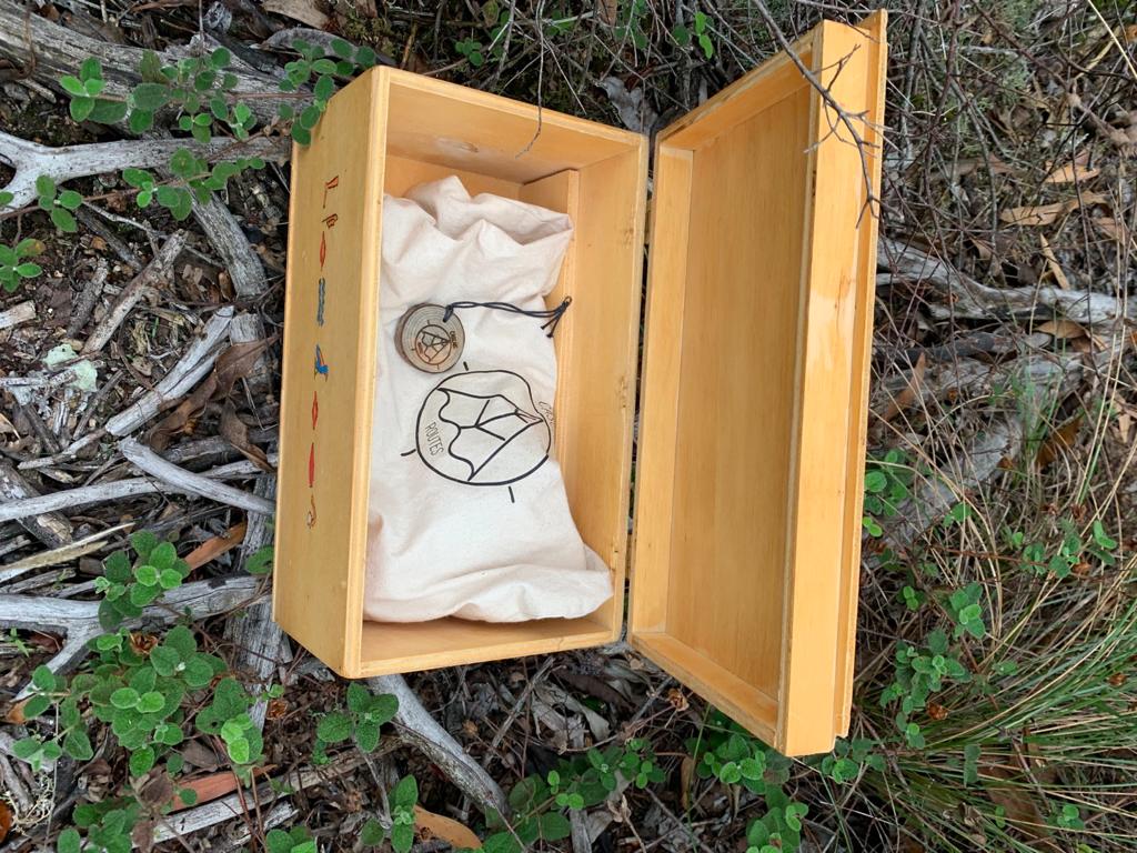 Birthday Party COURAGE - Treasure Hunt + Tree Circuit with Zip Line + Climbing