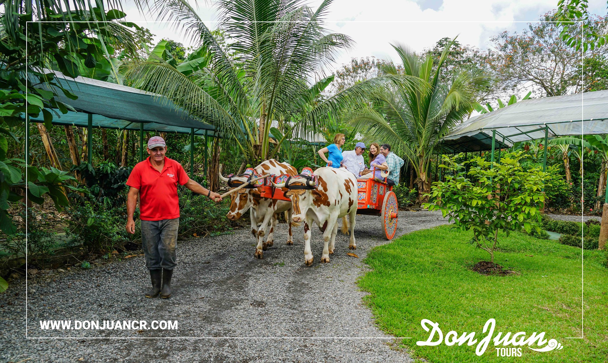 Arenal Coffee & Chocolate Tour