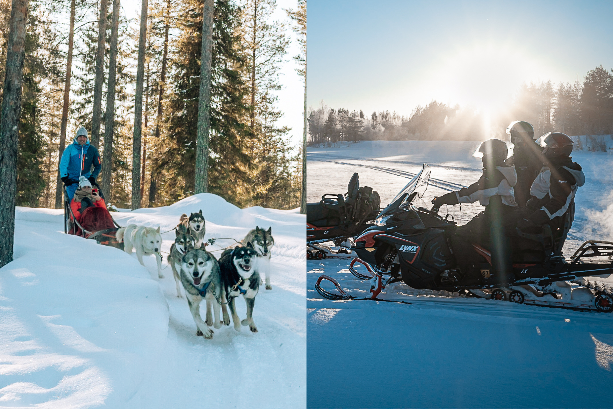 Thrilling Day with Siberian Huskies and Snowmobile Safari (Small-Group)