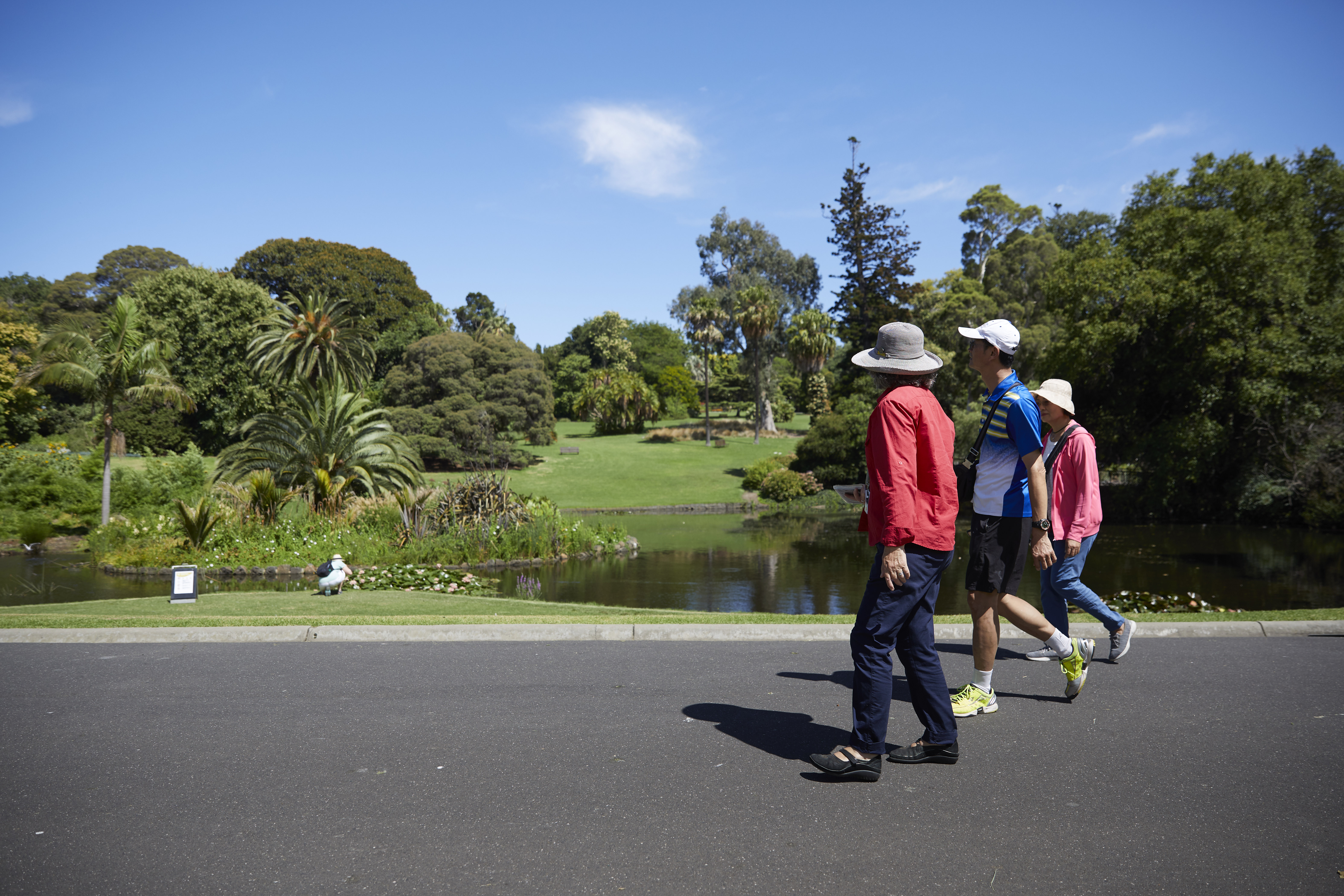 Free Guided Walk Melbourne Gardens