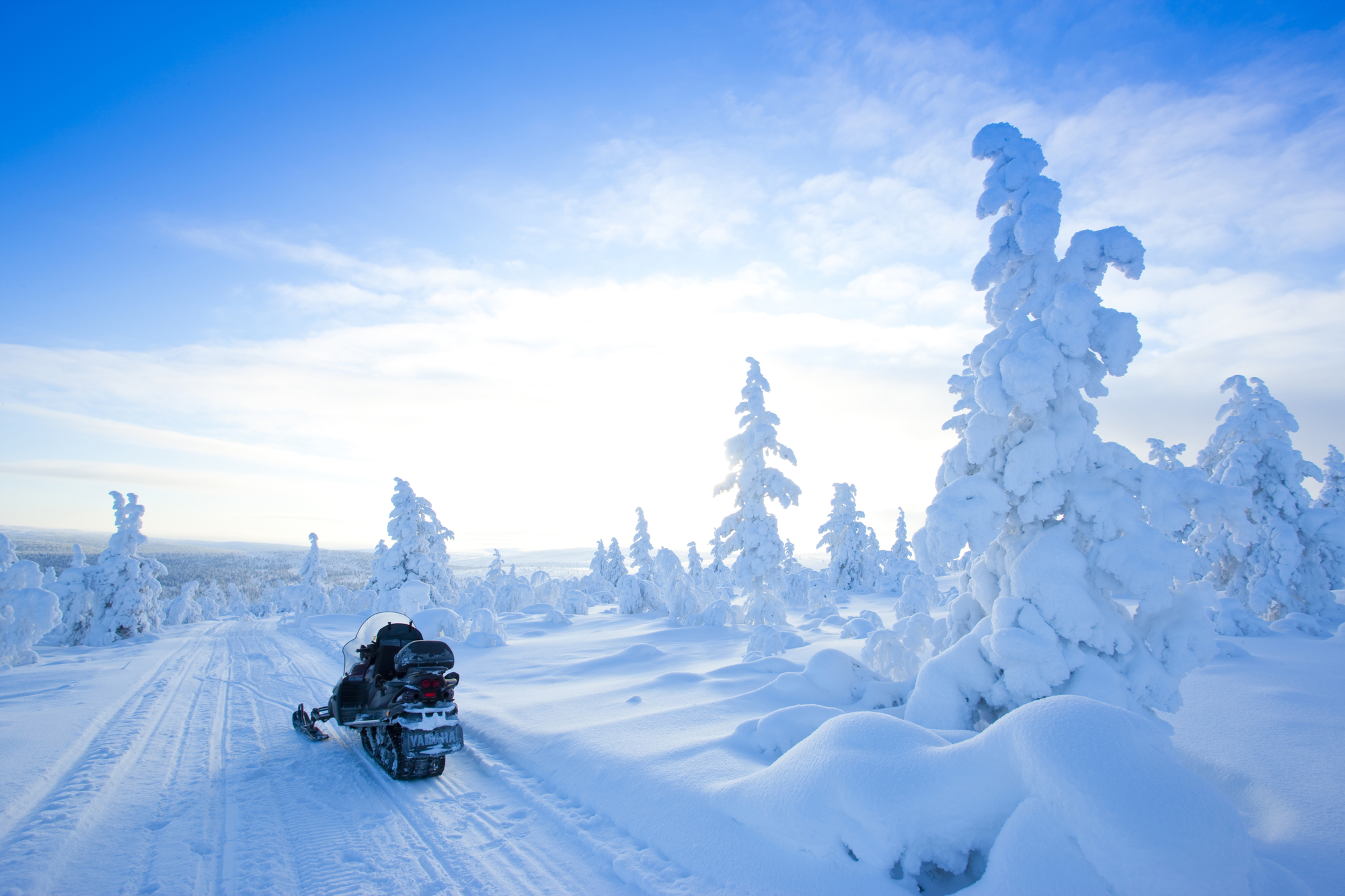 1-Hour Snowmobile Safari
