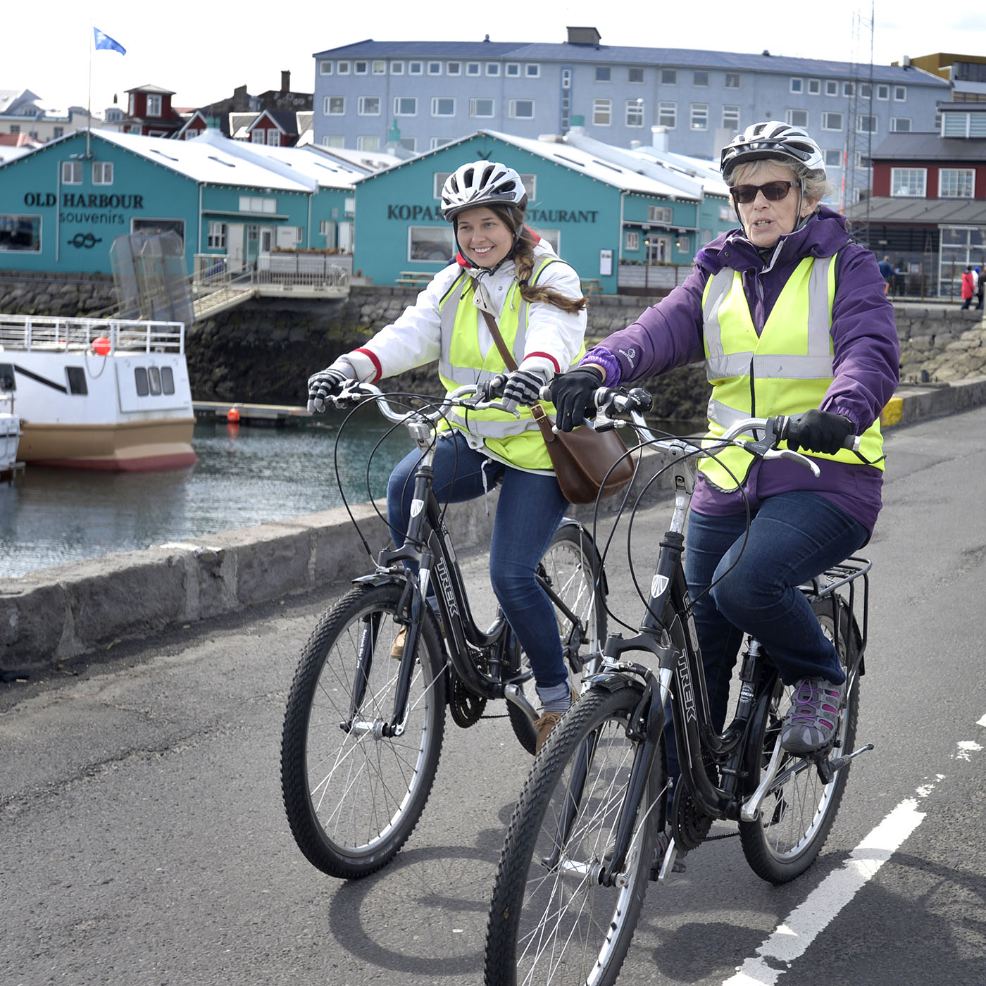 Coast of Reykjavik Private Bike Tour