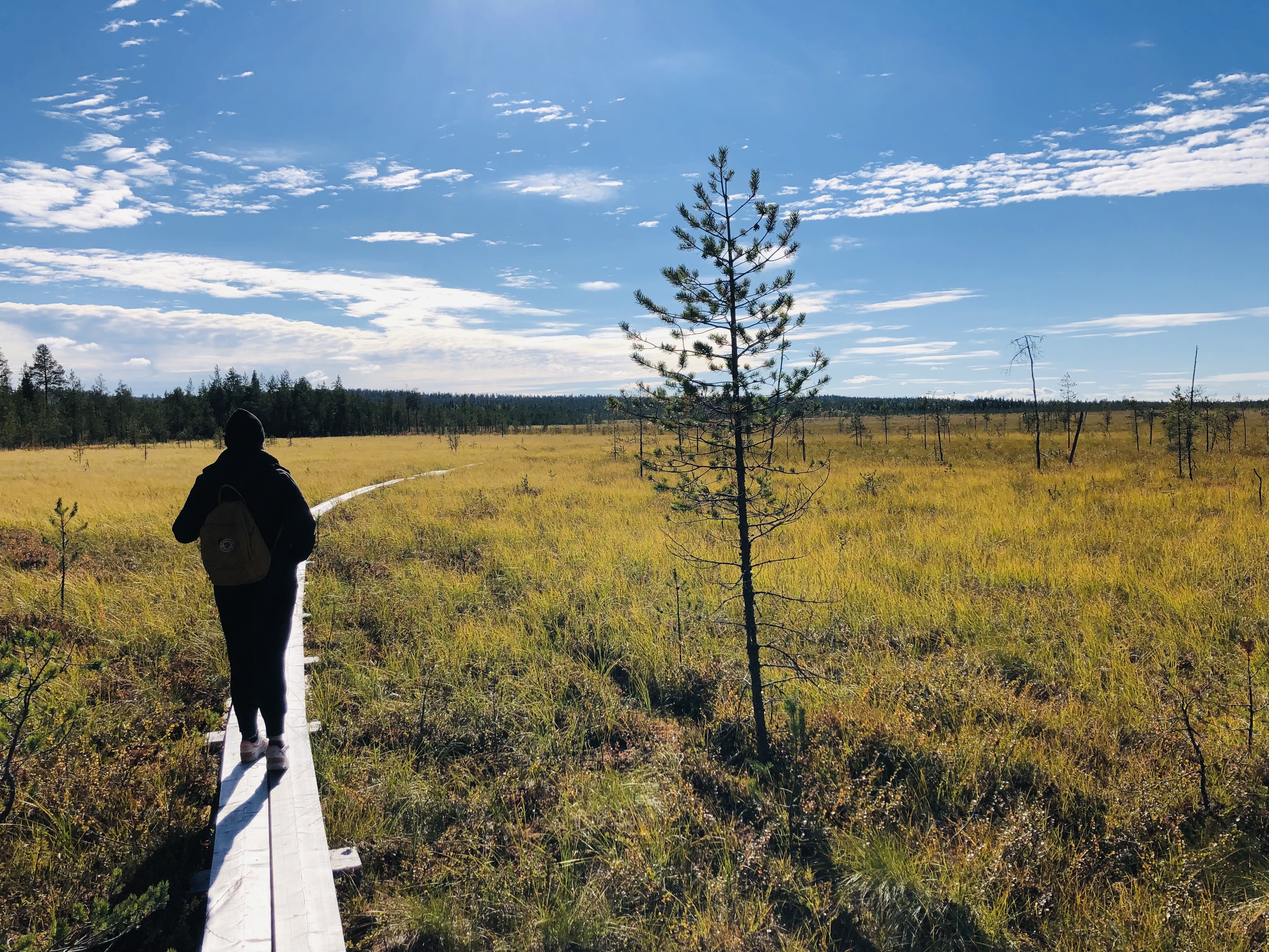 Private berry picking and hiking