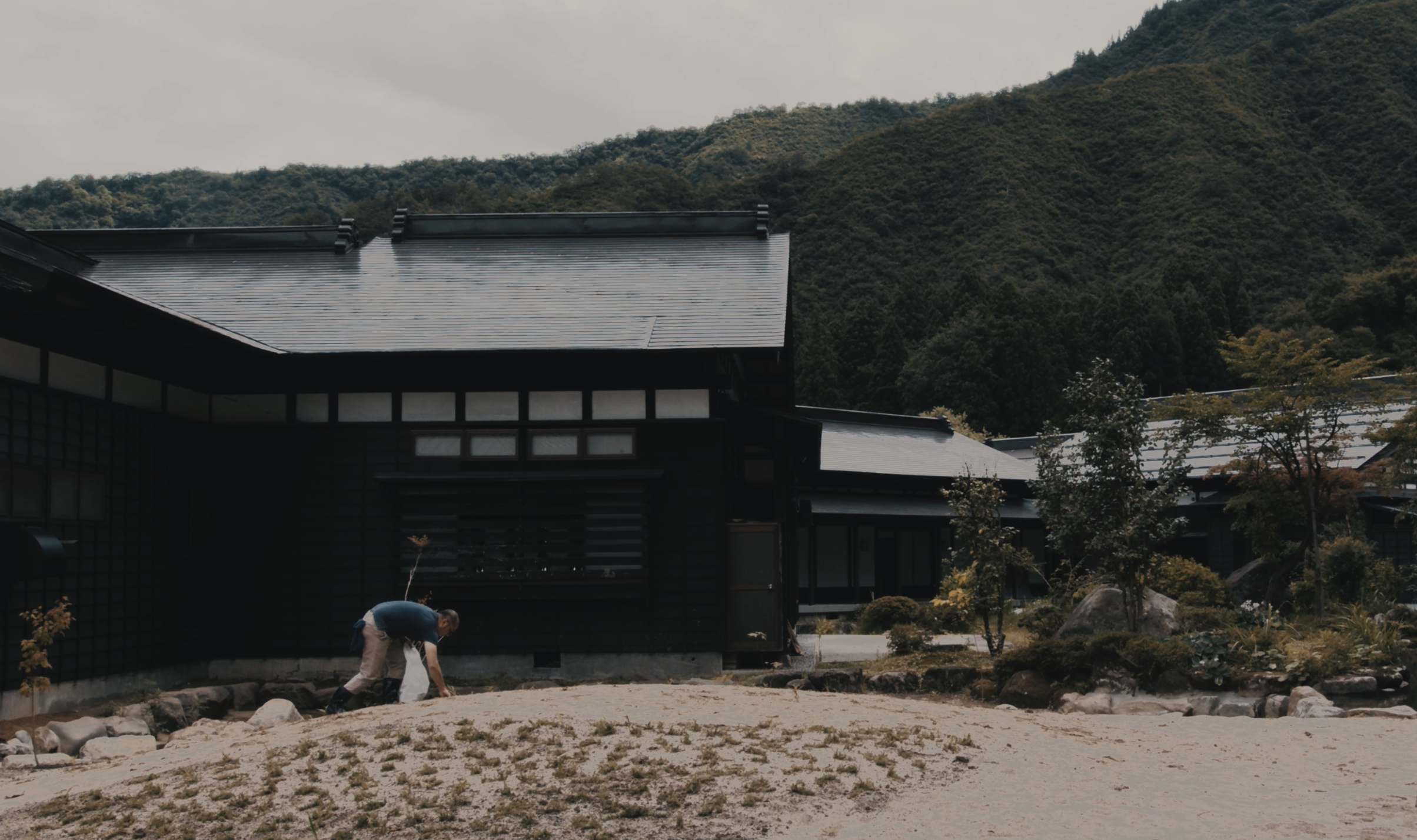 Refreshing Your Mind with No Mind ~Weed Harvest Meditation~