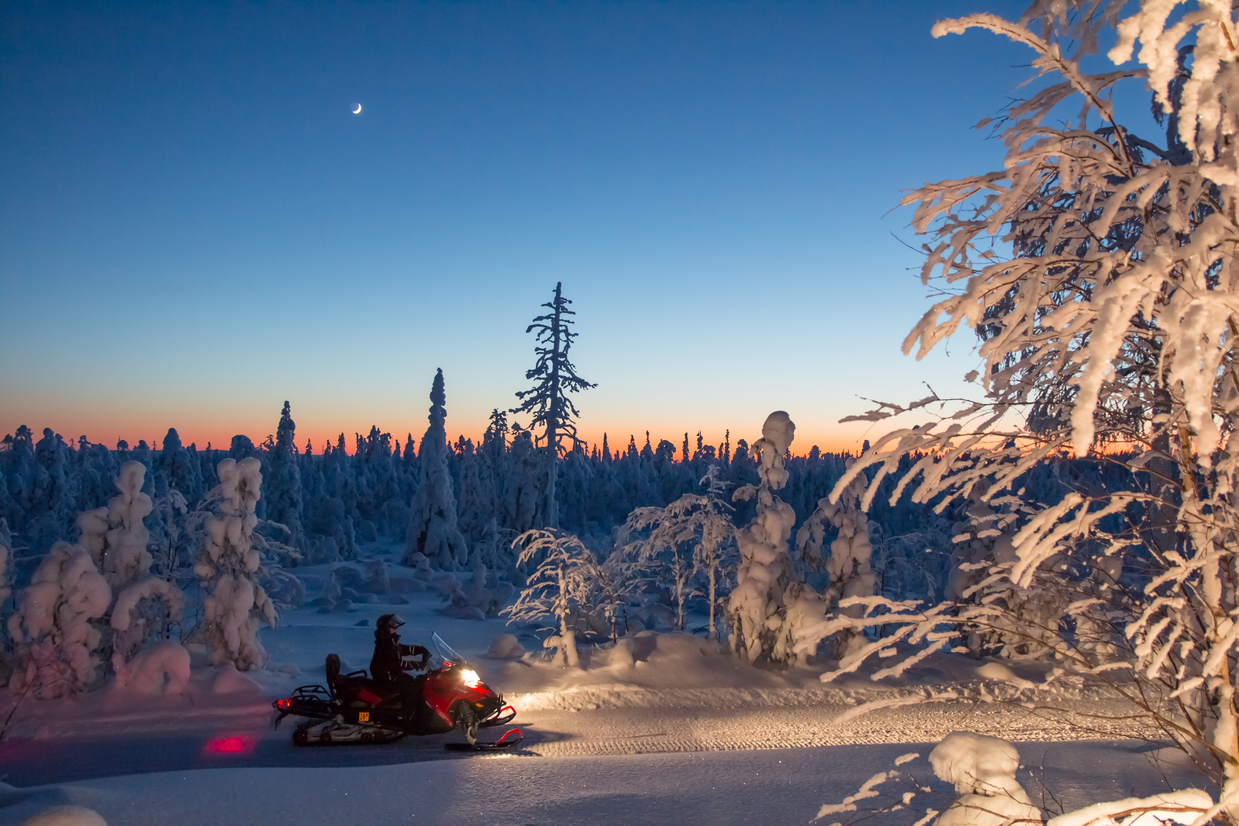 Evening Snowmobile Safari with Campfire in Saariselkä