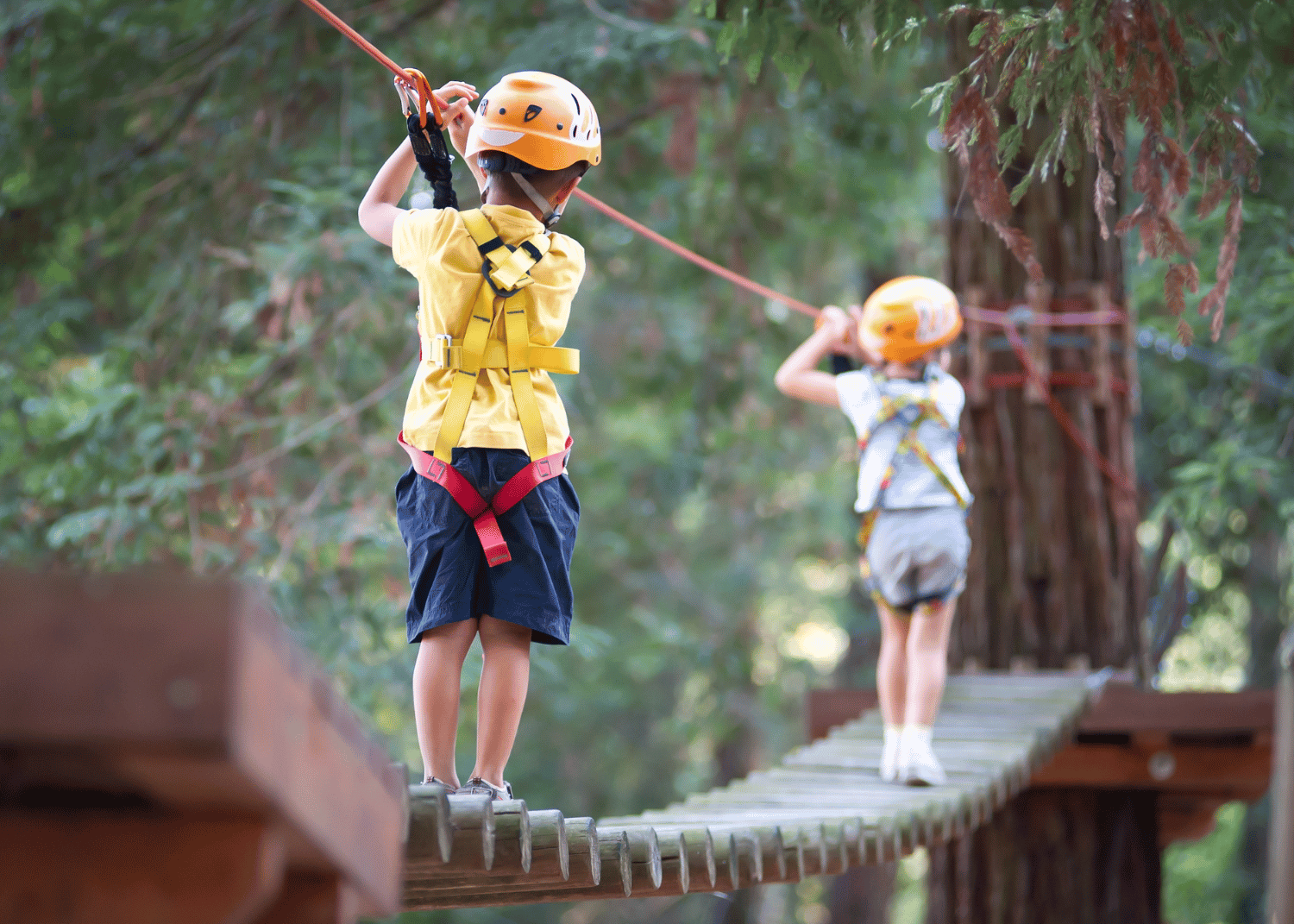 Tree climbing course in Saint-Laurent-du-Verdon